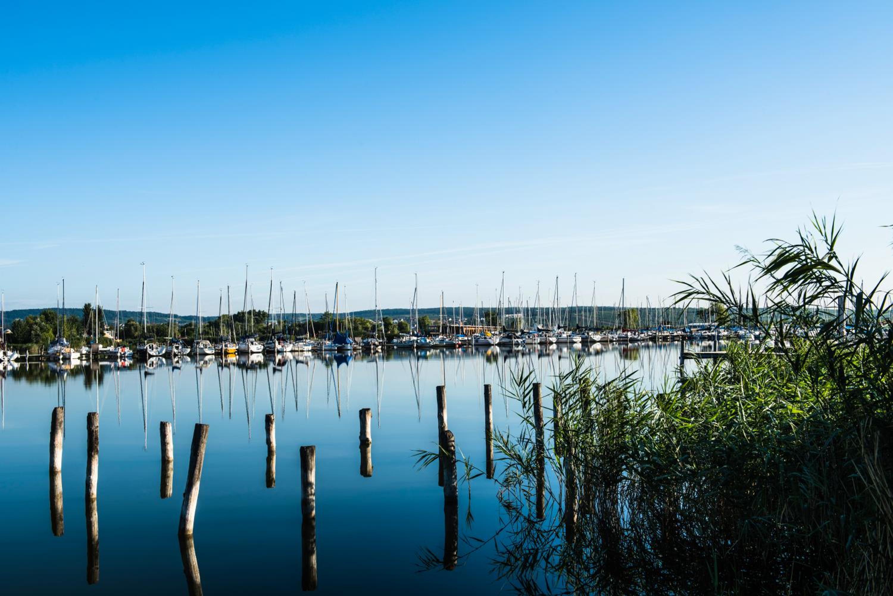 Gut Leithaberg