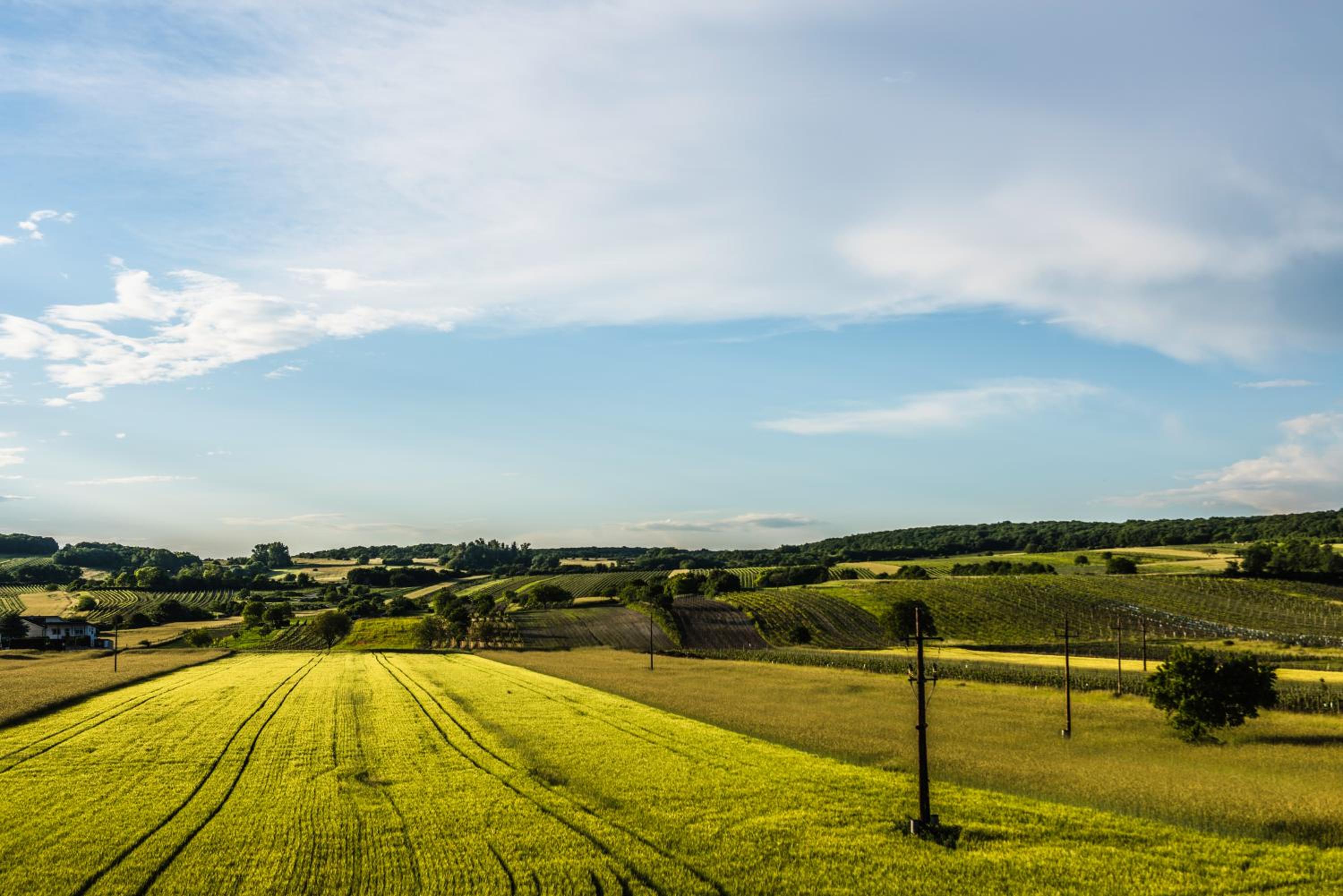 Gut Leithaberg