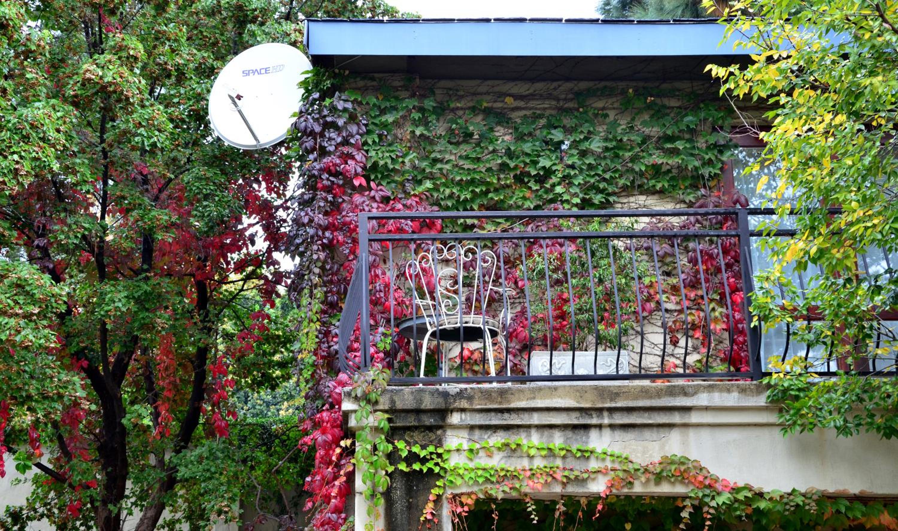 Shepherd's Corner Guest House - Tranquil Boutique Stay in Bryanston