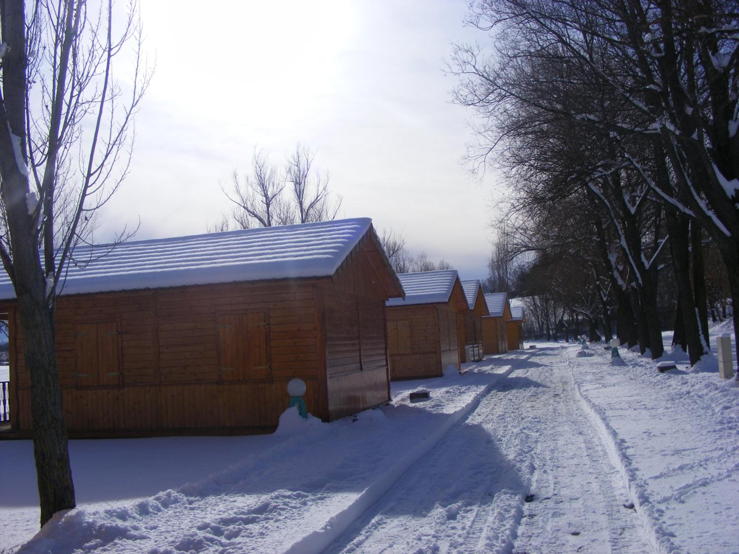Photo 29