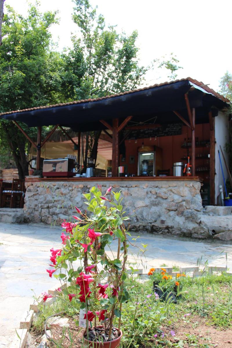 outdoor BBQ area