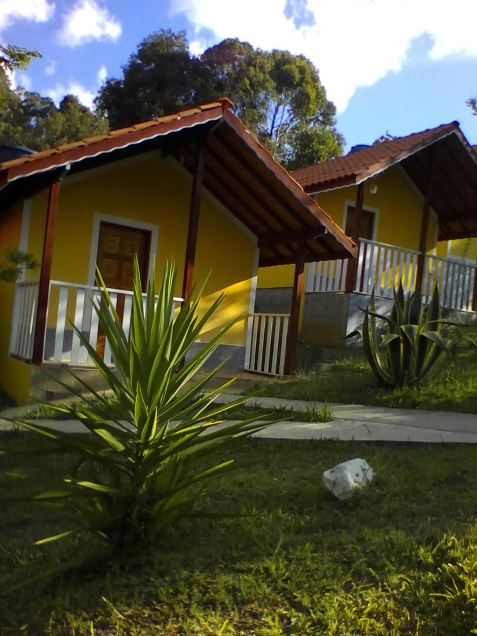 Photo 45