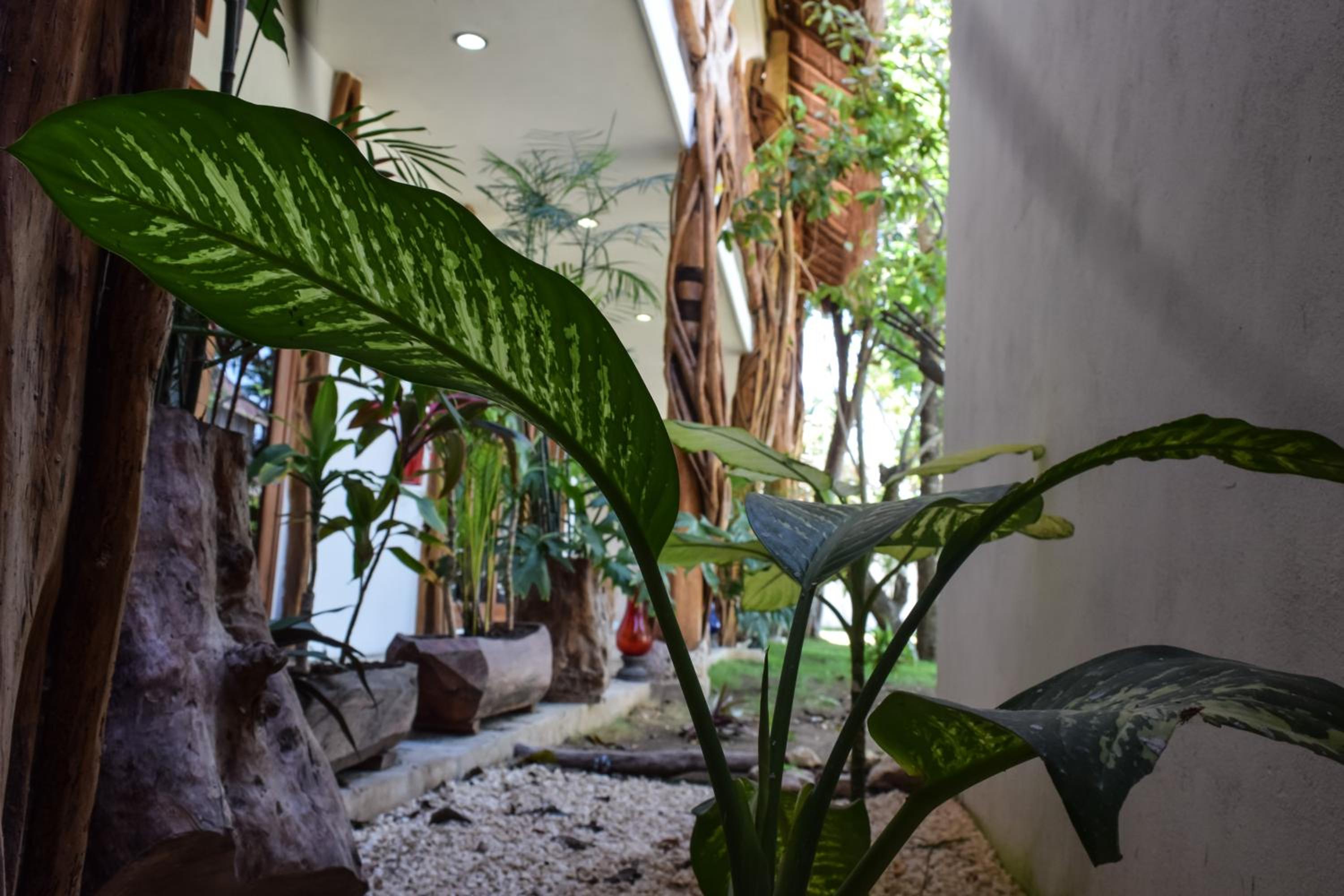 Corazon De Jade Tulum - Property Image 100