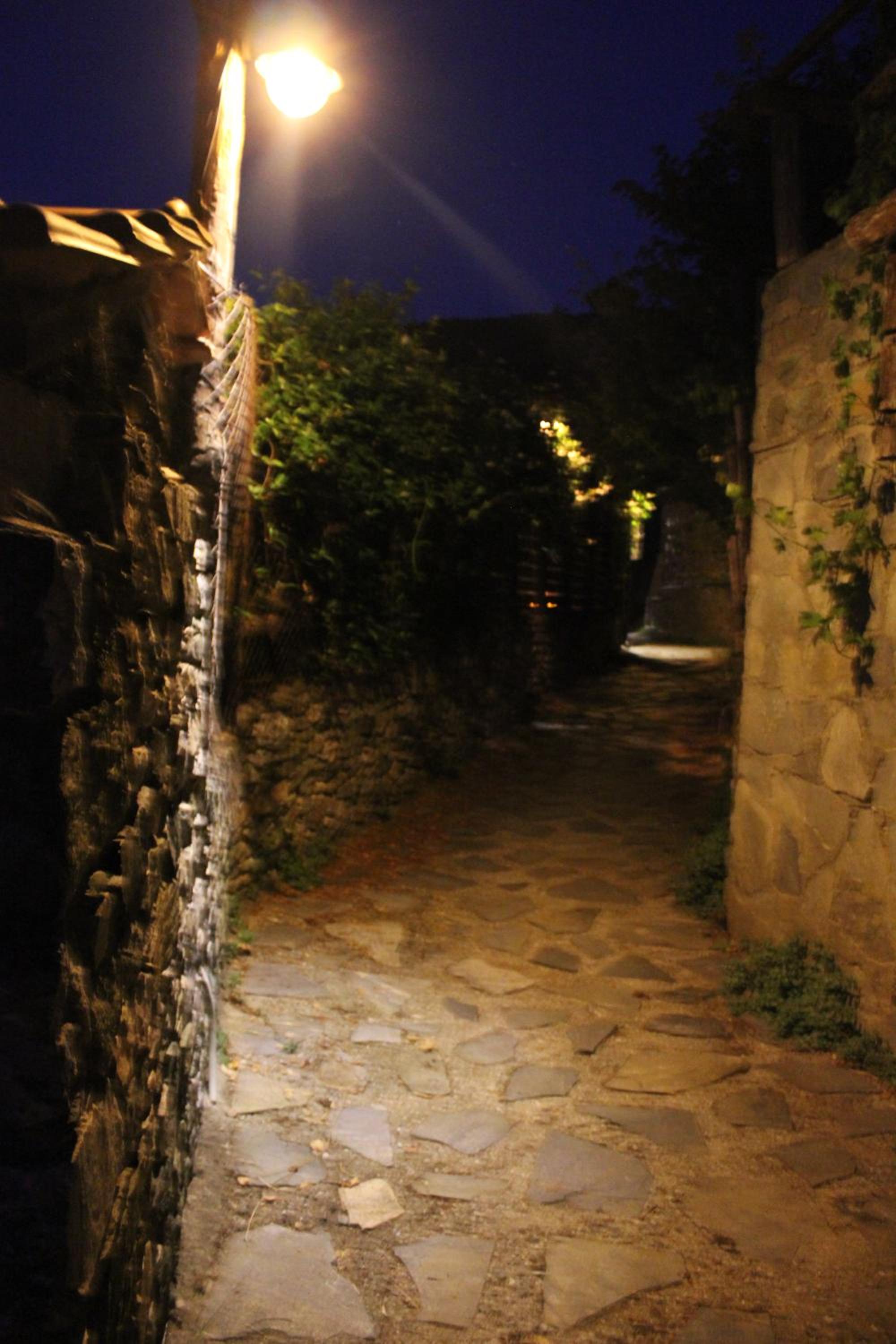 Photo 48