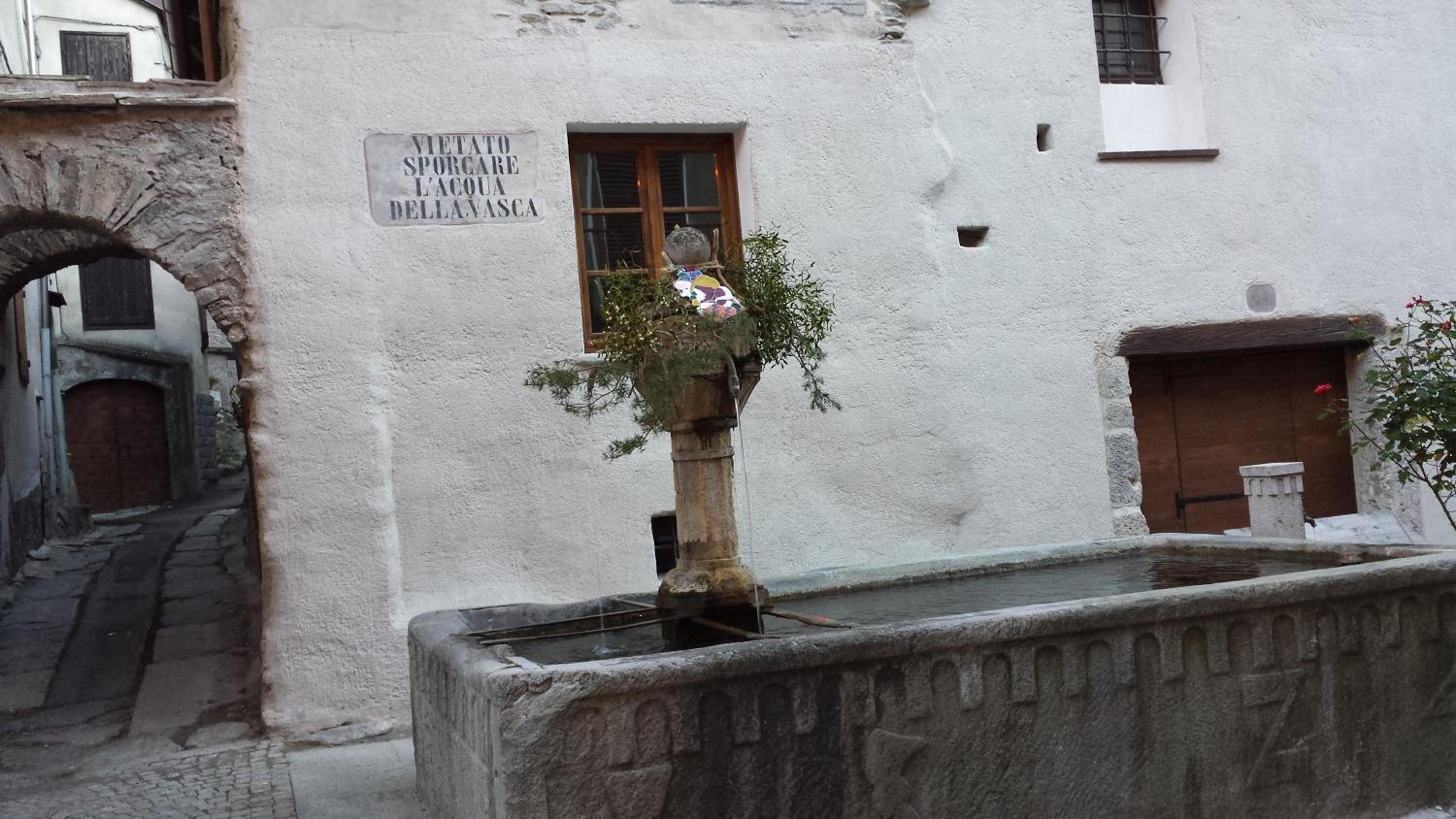 Il Larice