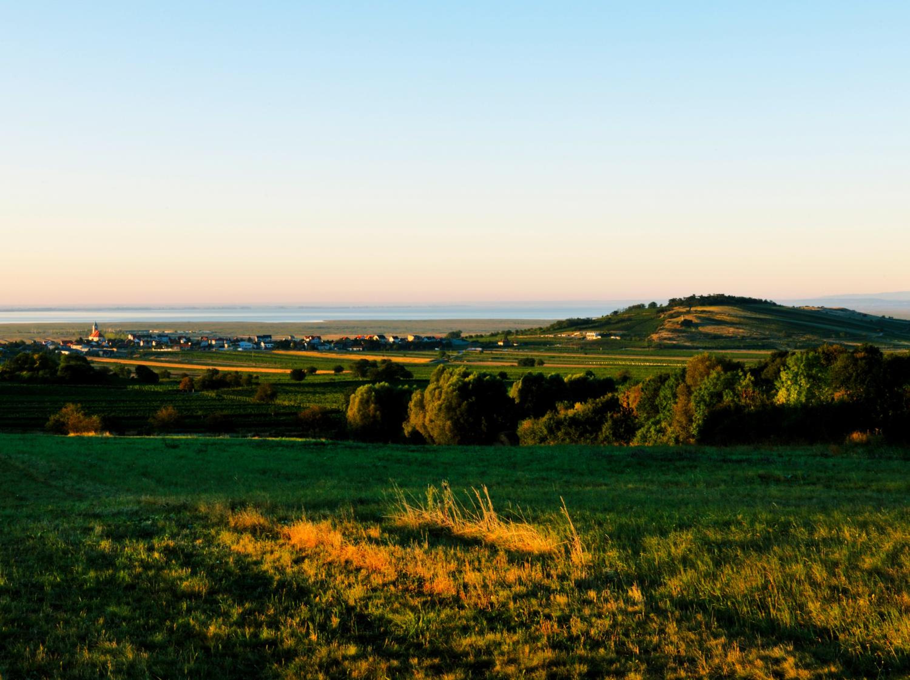 Gut Leithaberg