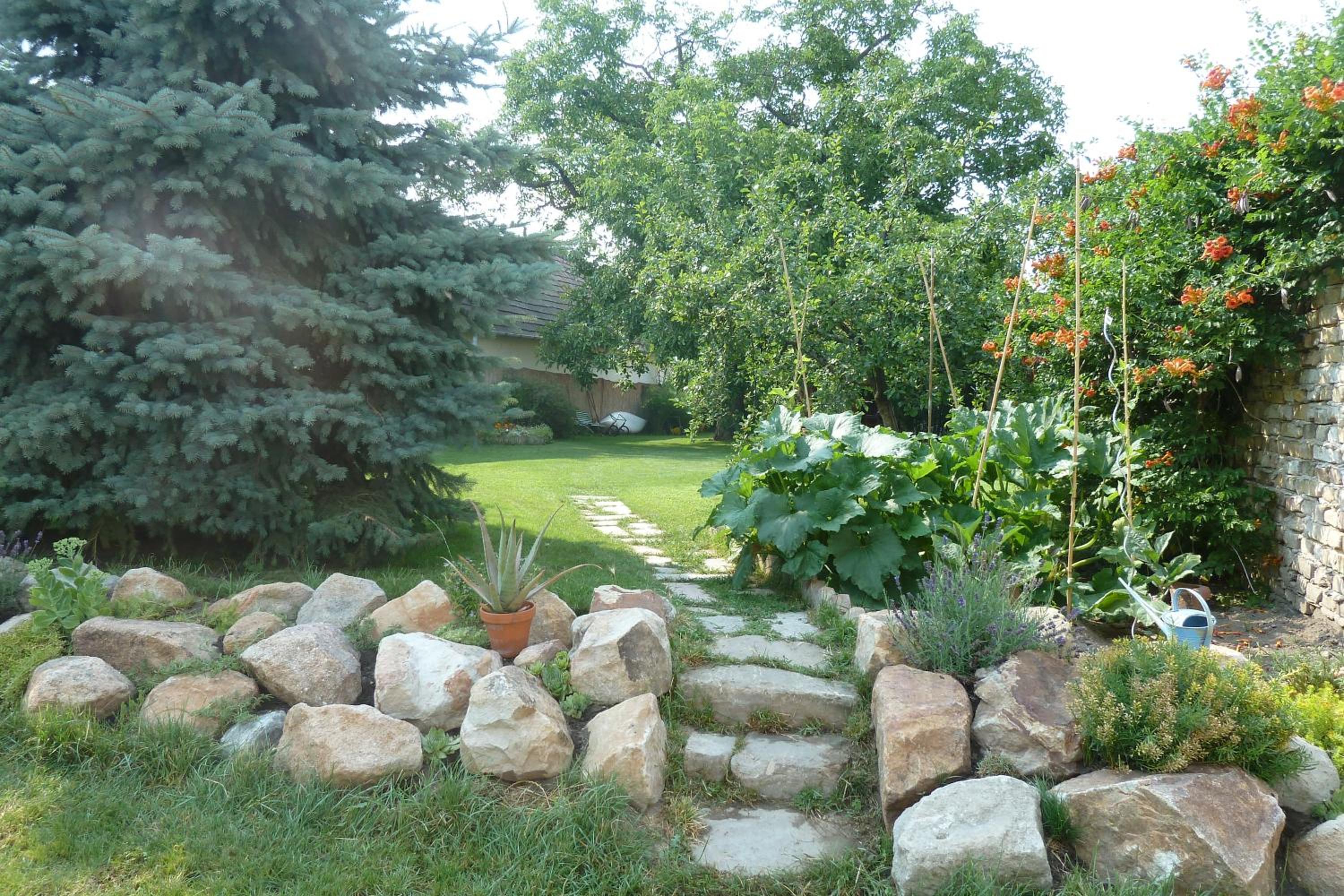 Photo 27