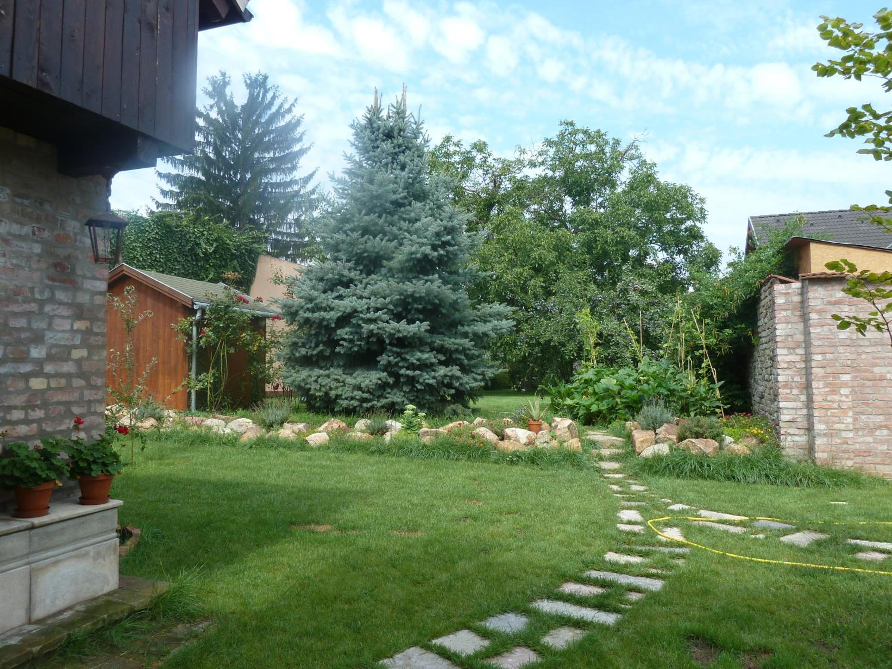 Photo 26