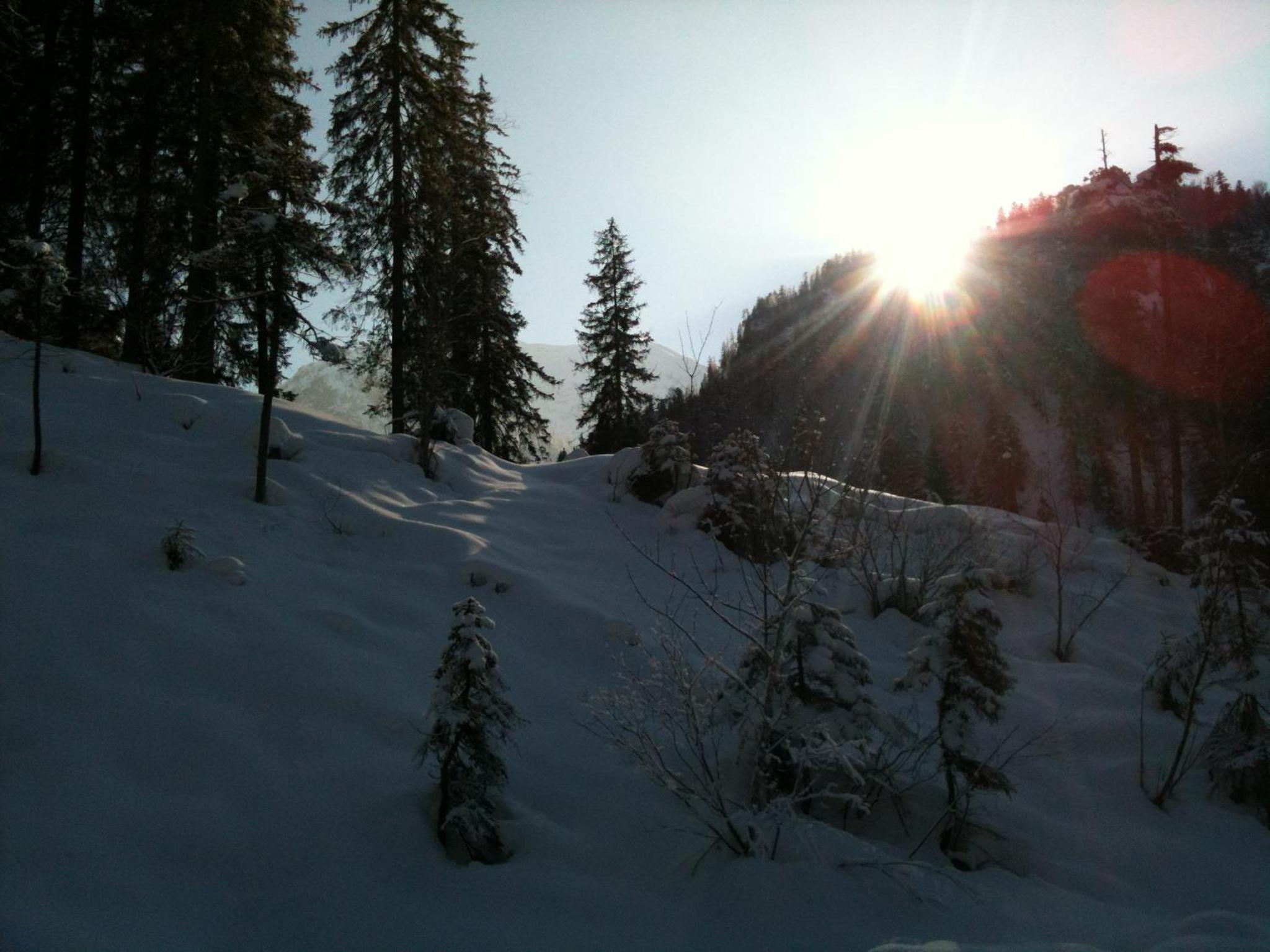 Speckhaus Ferienwohnungen, photo 65