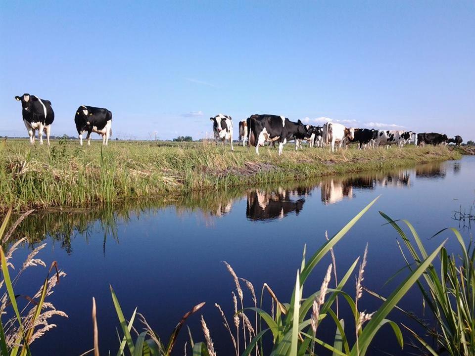 Boerderij Honswijck view 3