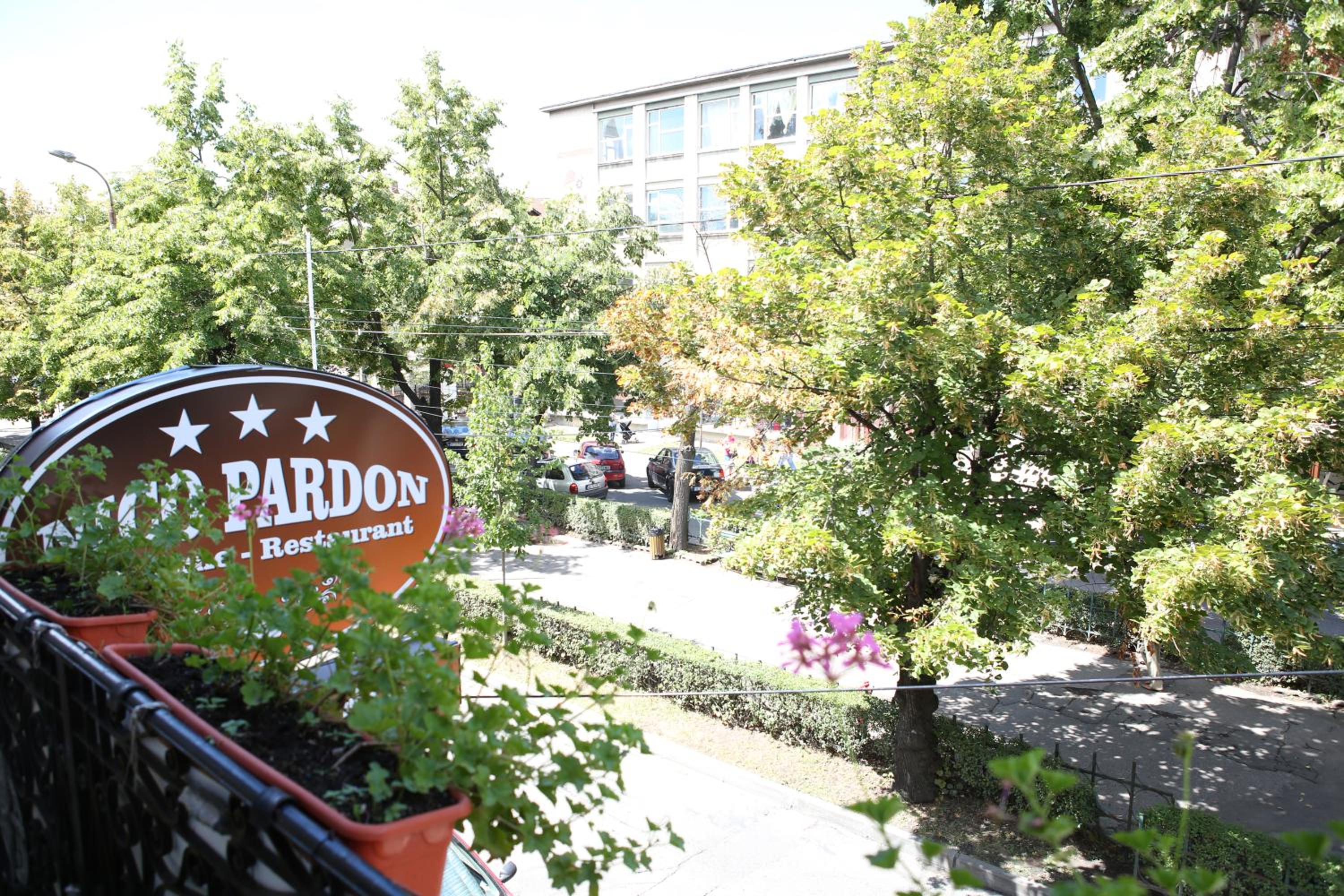 Pensiunea Nico Pardon view 3