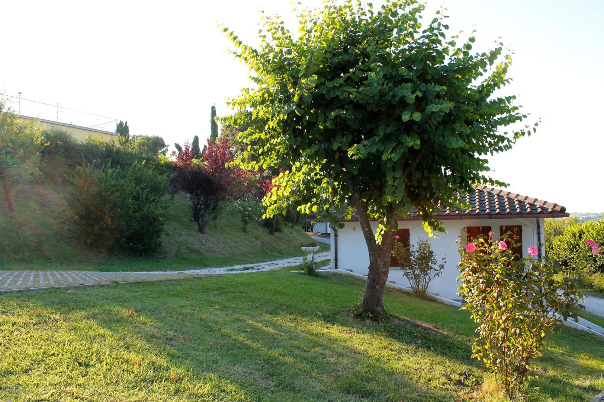 Photo 26