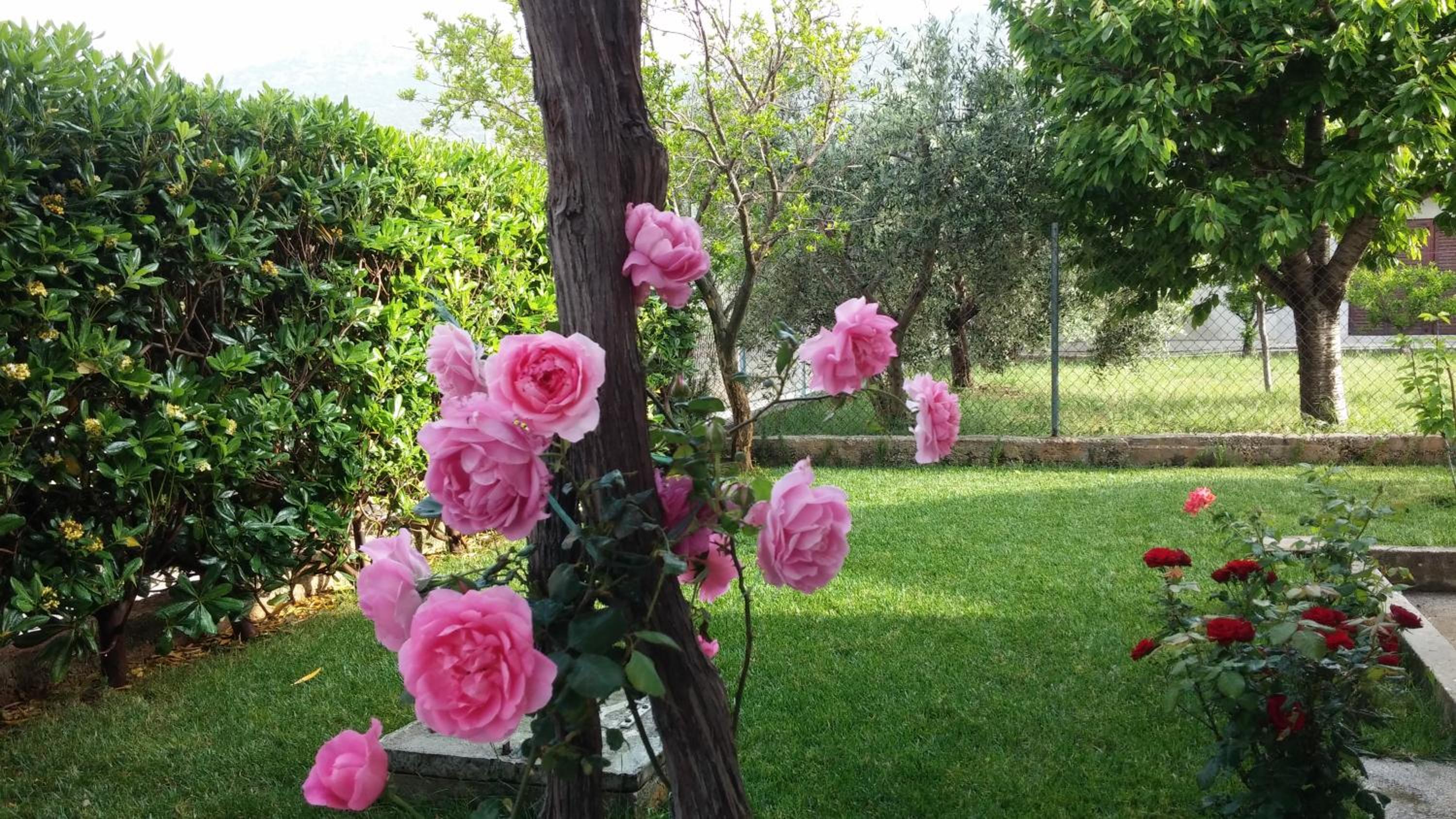 Holiday Home Bakovic - beautiful view, near Split & Trogir, Full AC rooms