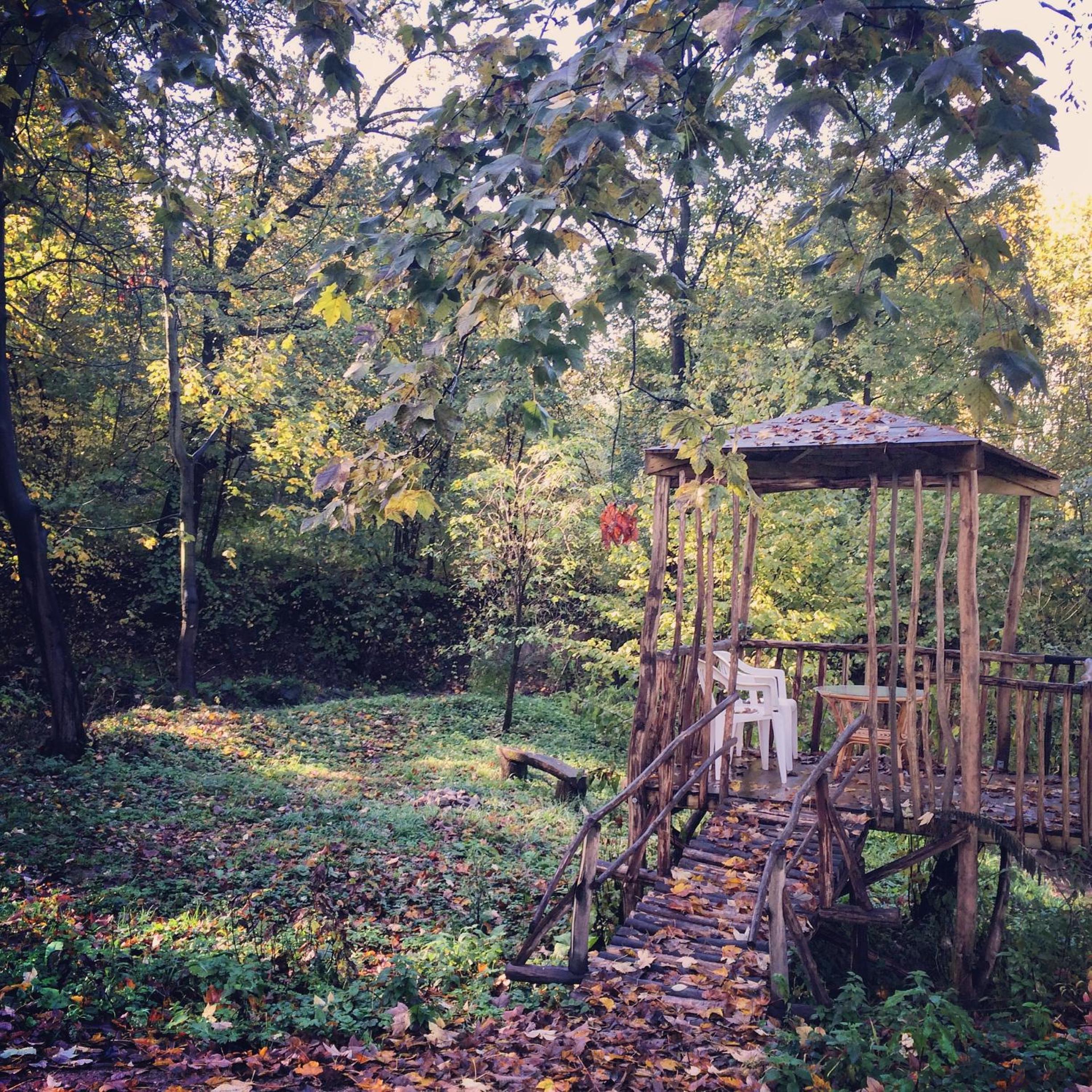 Photo 21