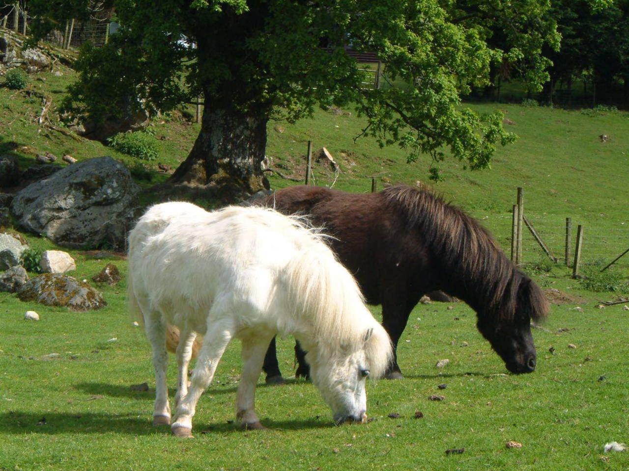 Ardgarry Farm