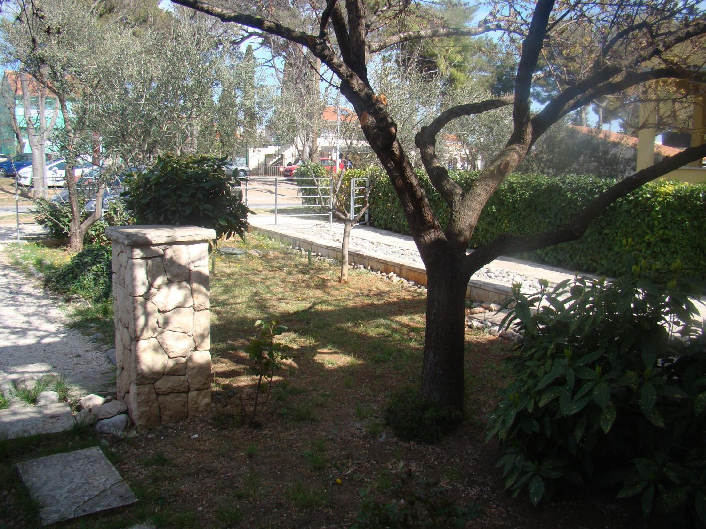 Photo 24