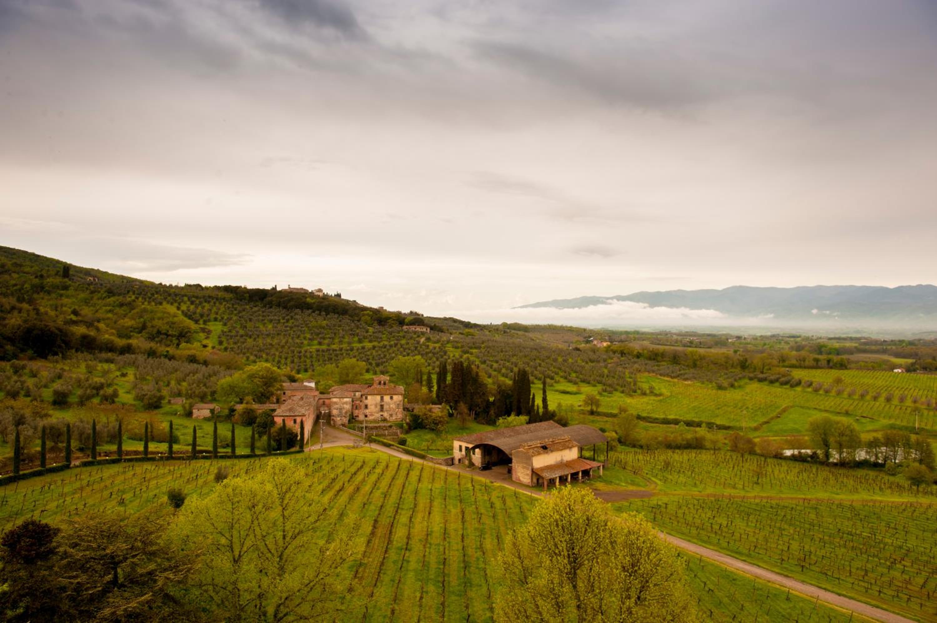 Tenuta Lupinari
