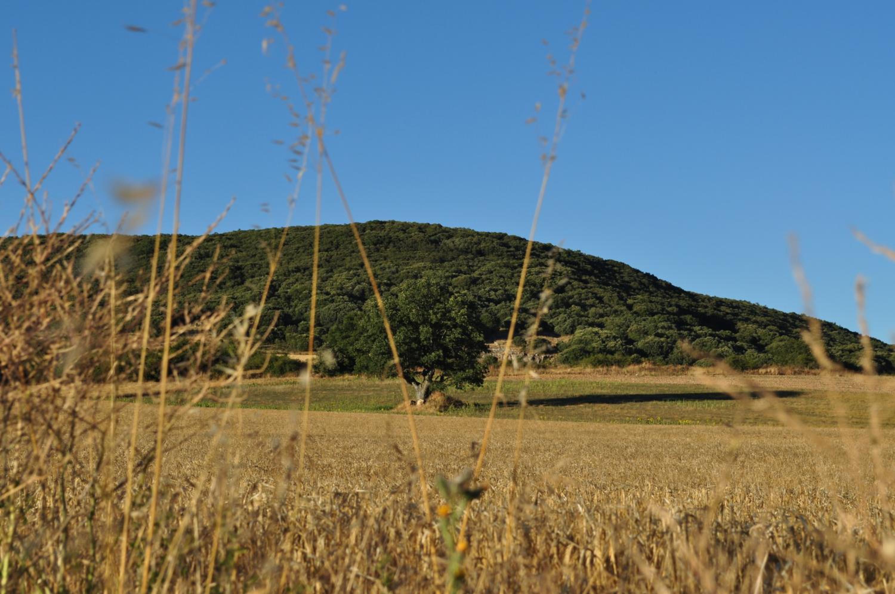 La Cabala de Ibeas view 4