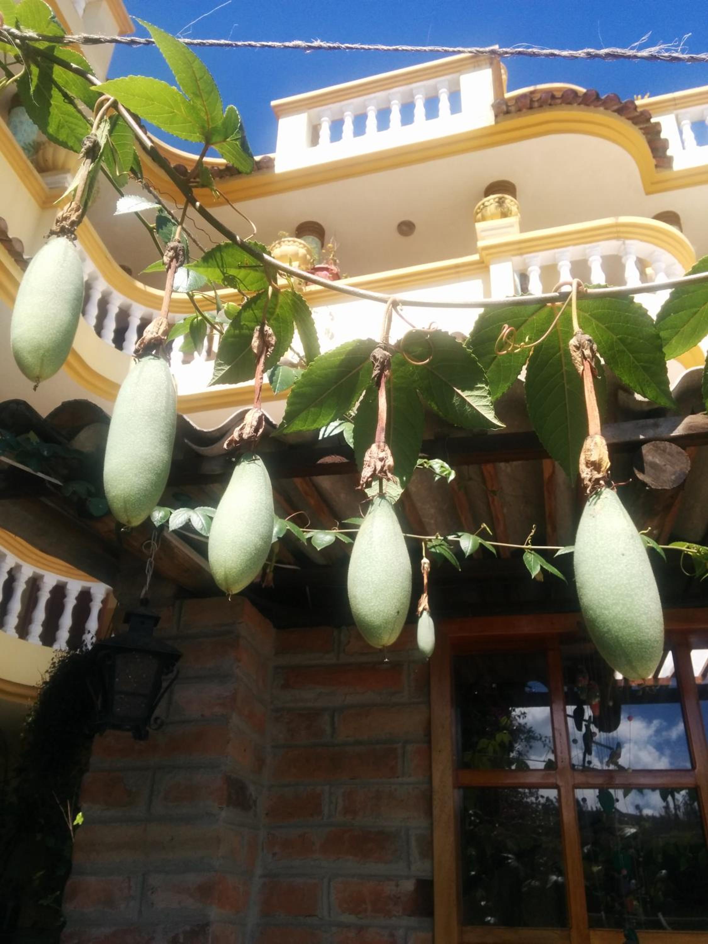 Hostal Curiñan