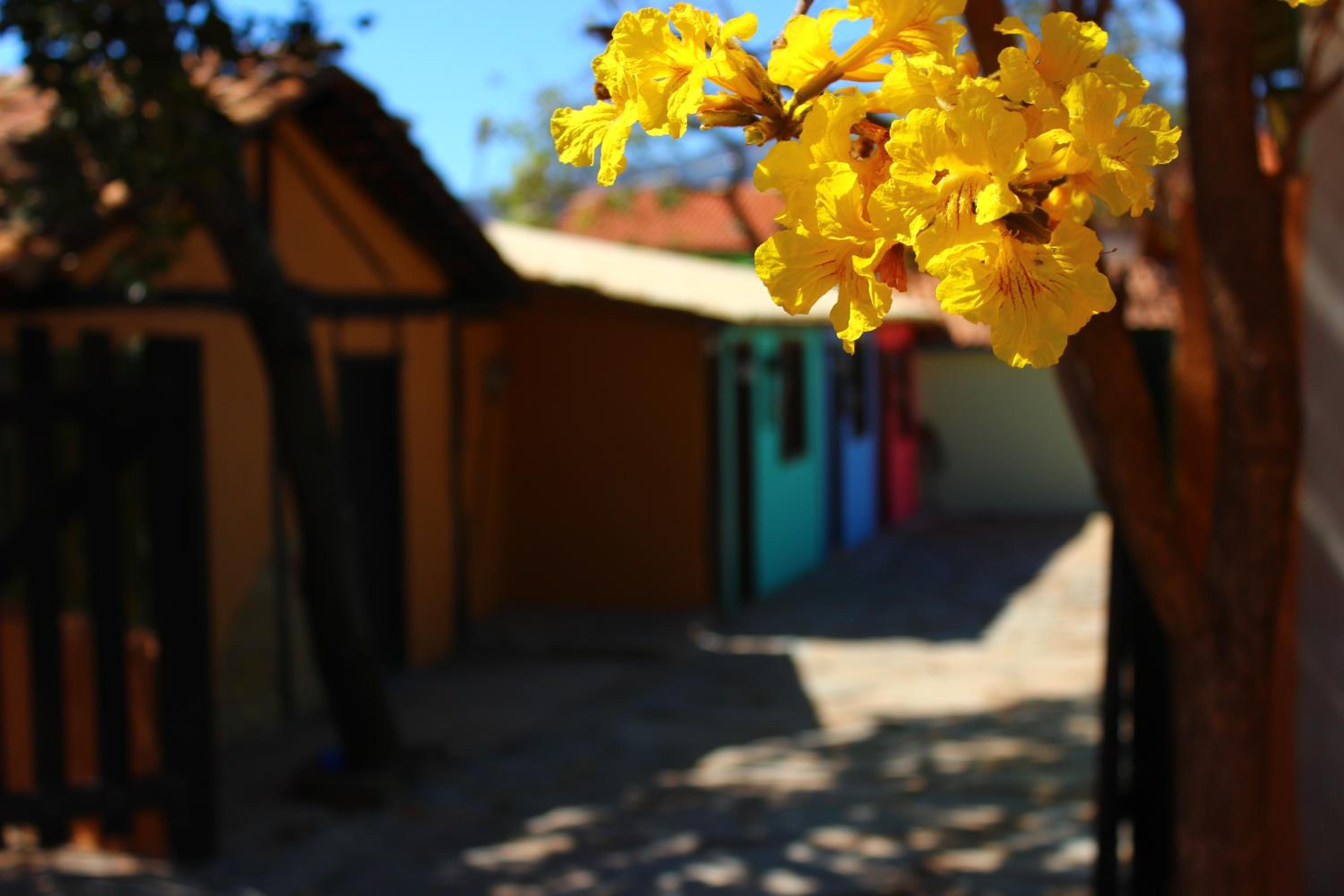 Pousada Vila Cipó view 2