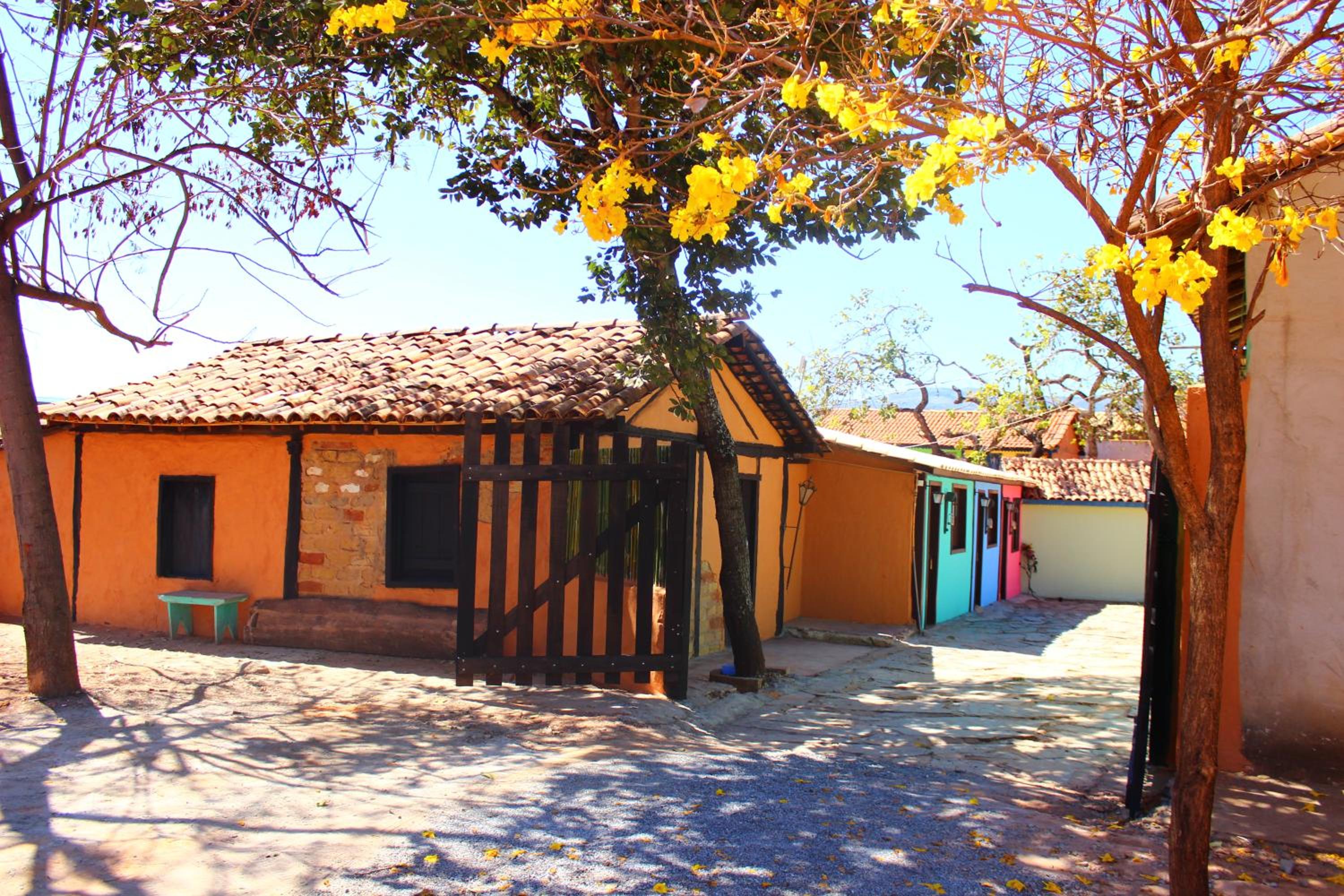 Photo 46