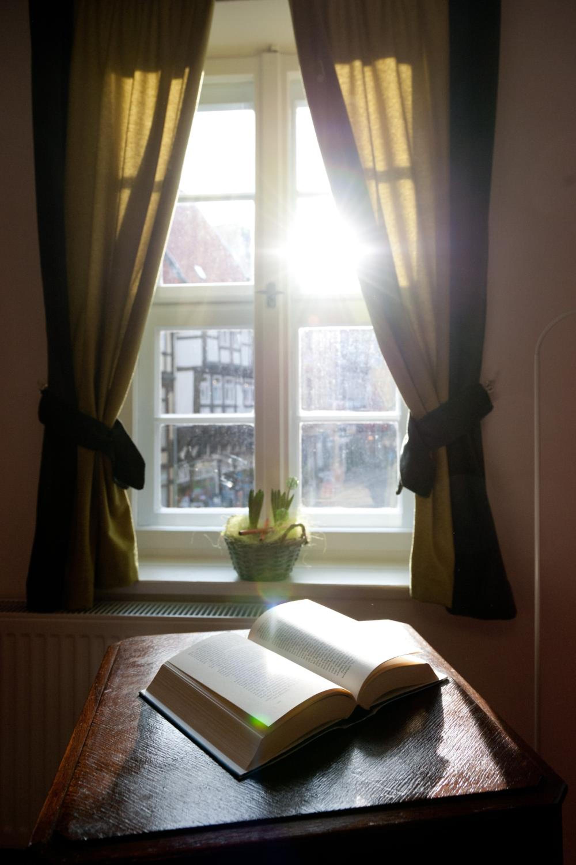 Photo 22