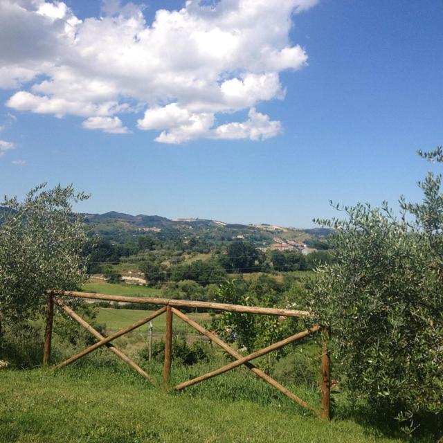 B&B L'Usignolo view 3
