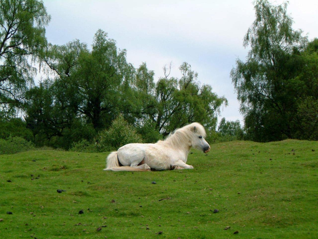 Ardgarry Farm