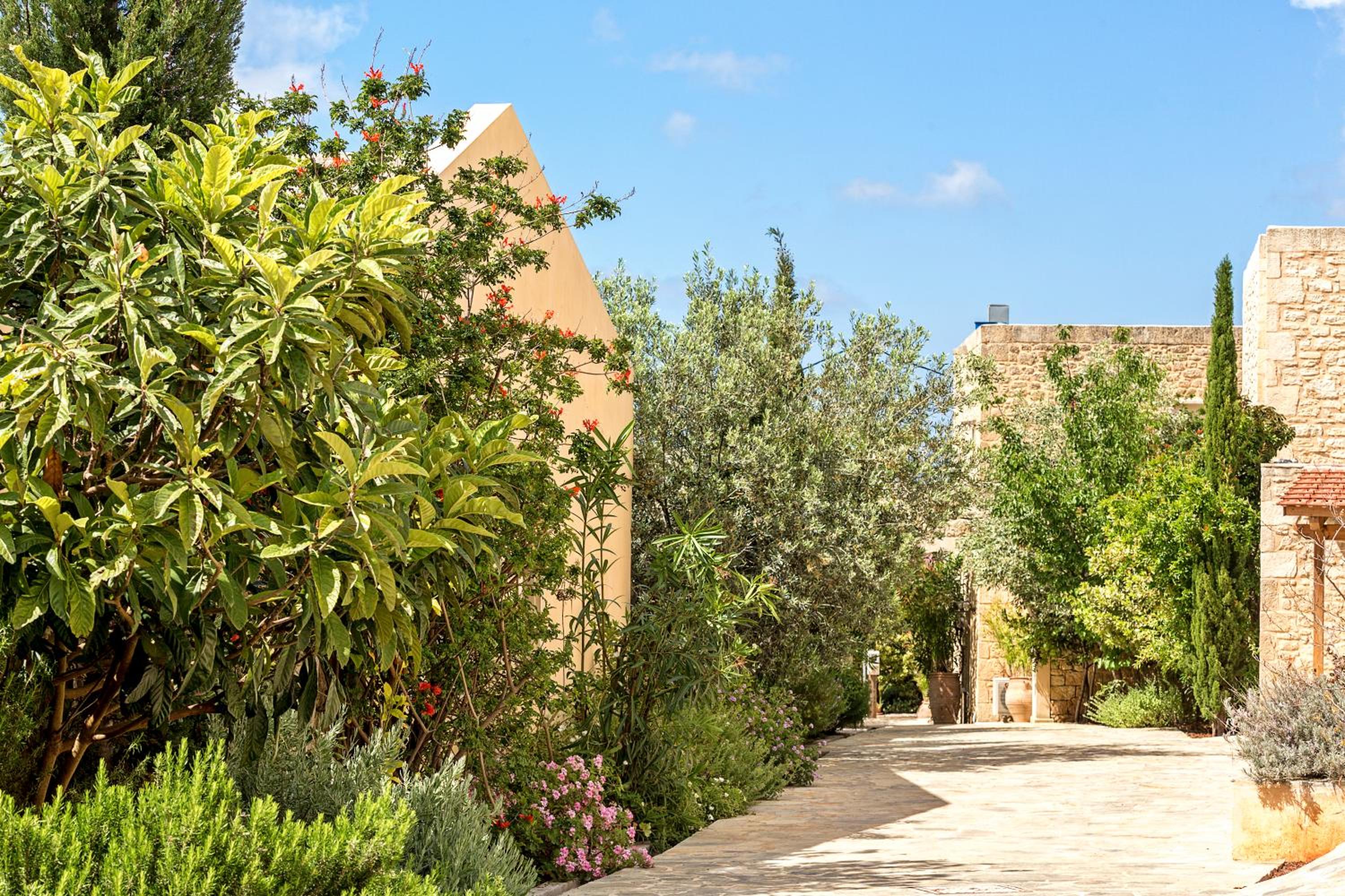 Kapsaliana Village Hotel 65