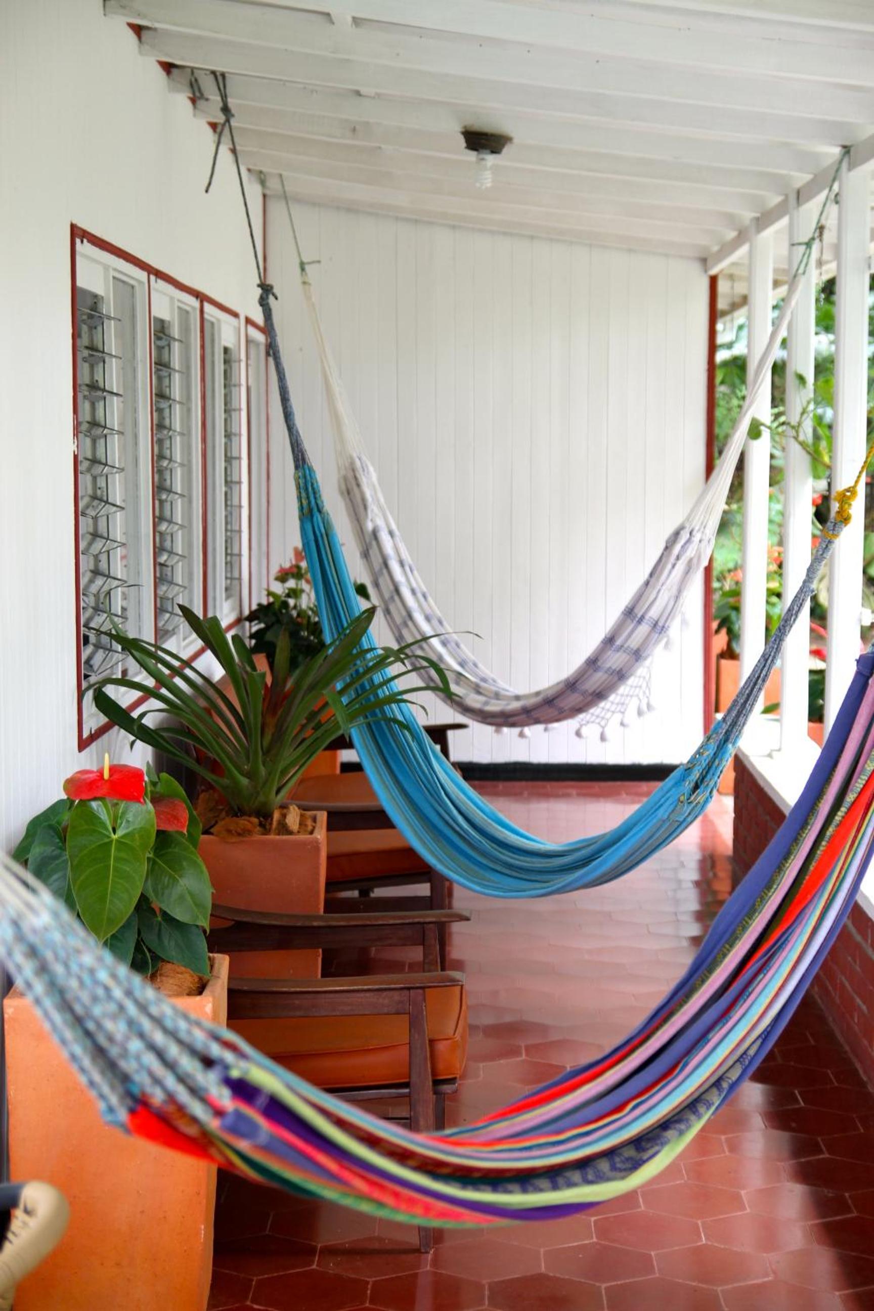 El Jardín de los Colibríes - Pereira, Risaralda