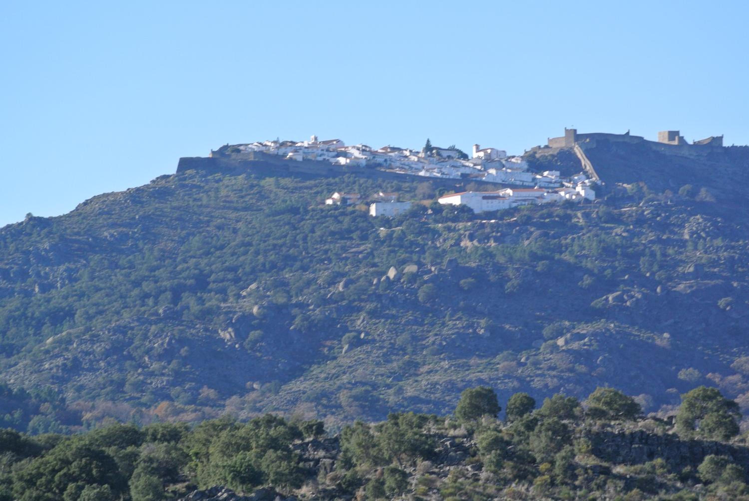 Photo 47