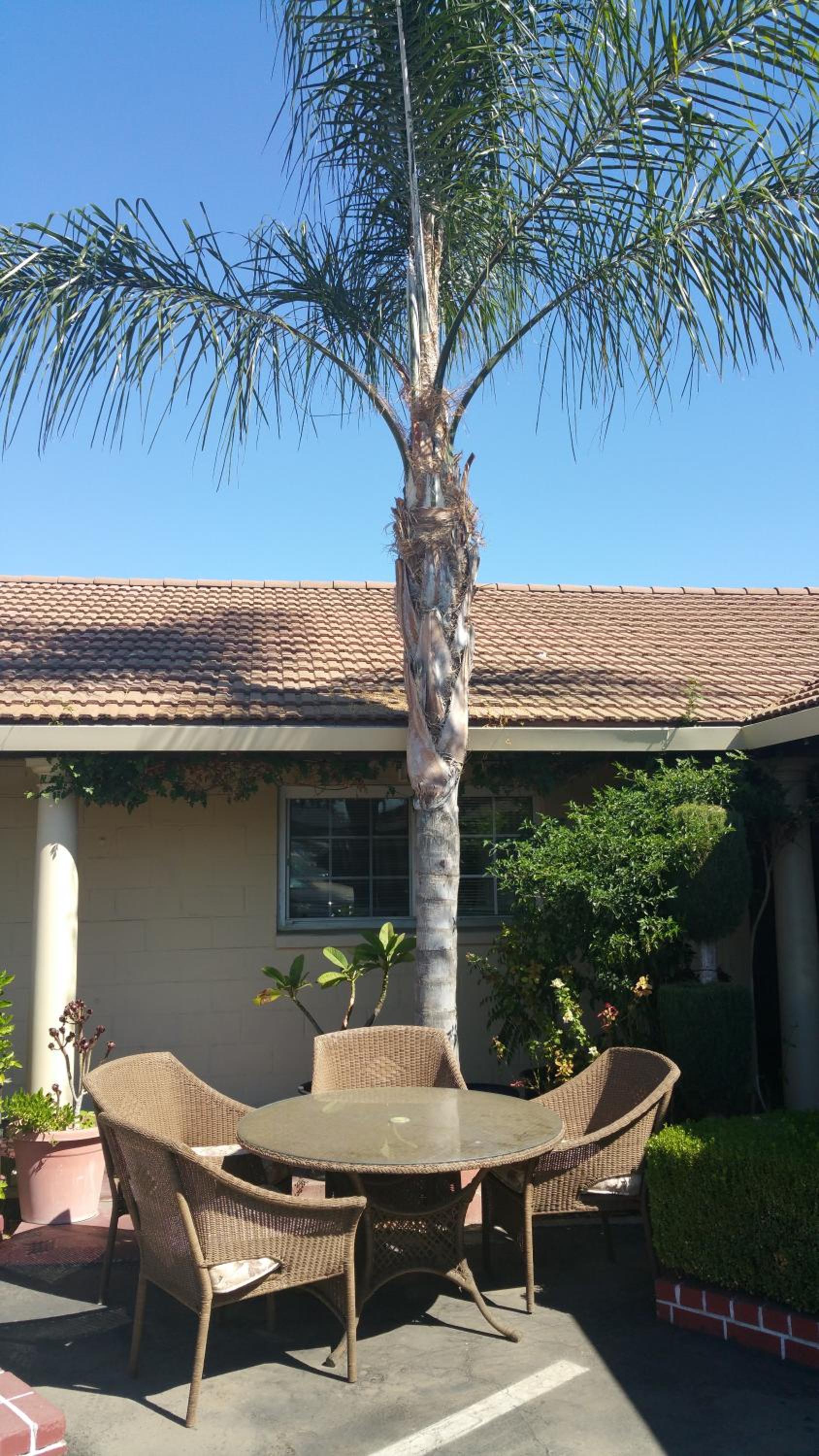 Merced Vacations - San Joaquin Motel - Property Image 2