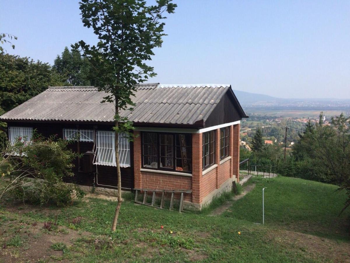 Photo 24