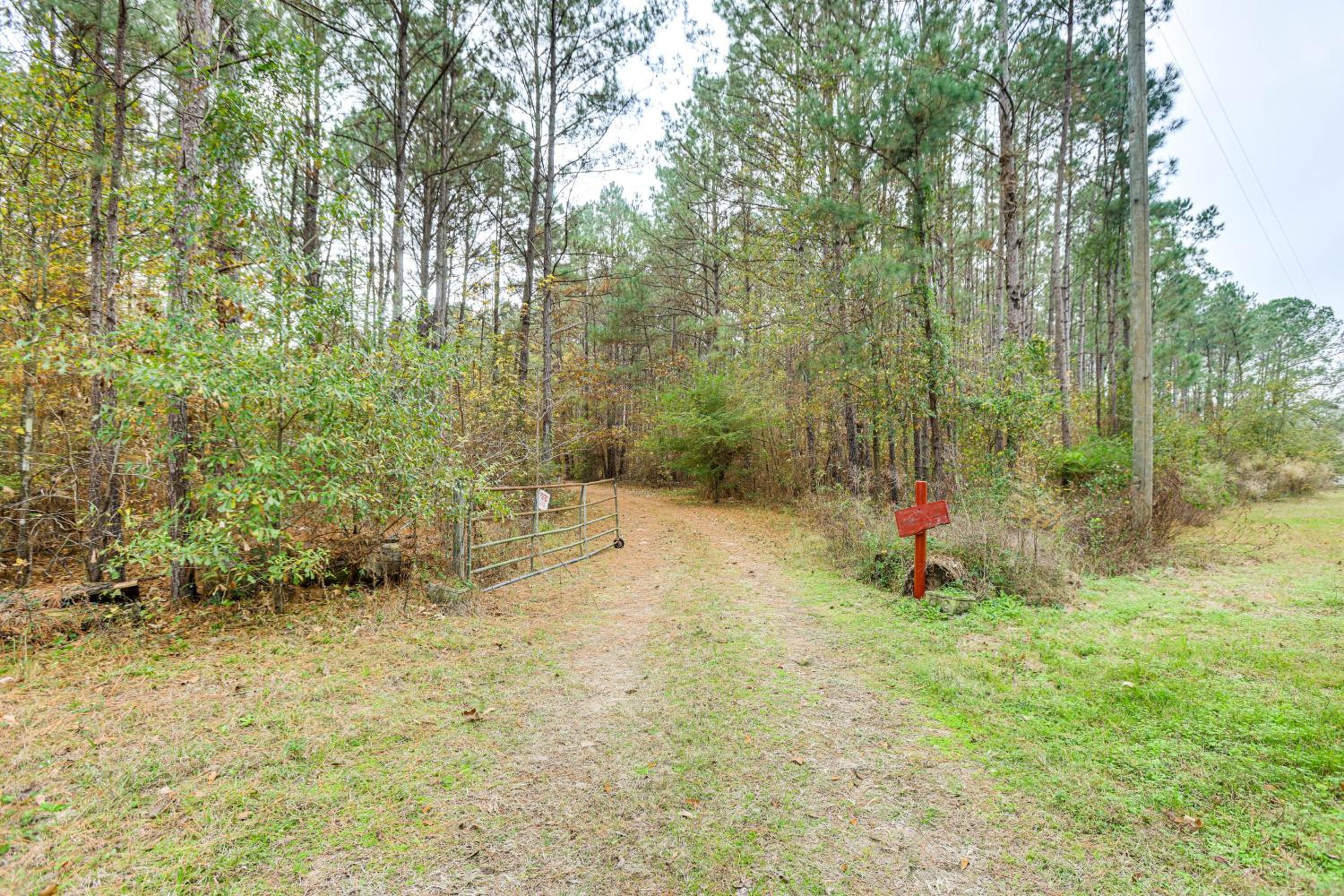 Hike, Bike and Boat Peaceful Piney Woods Home!