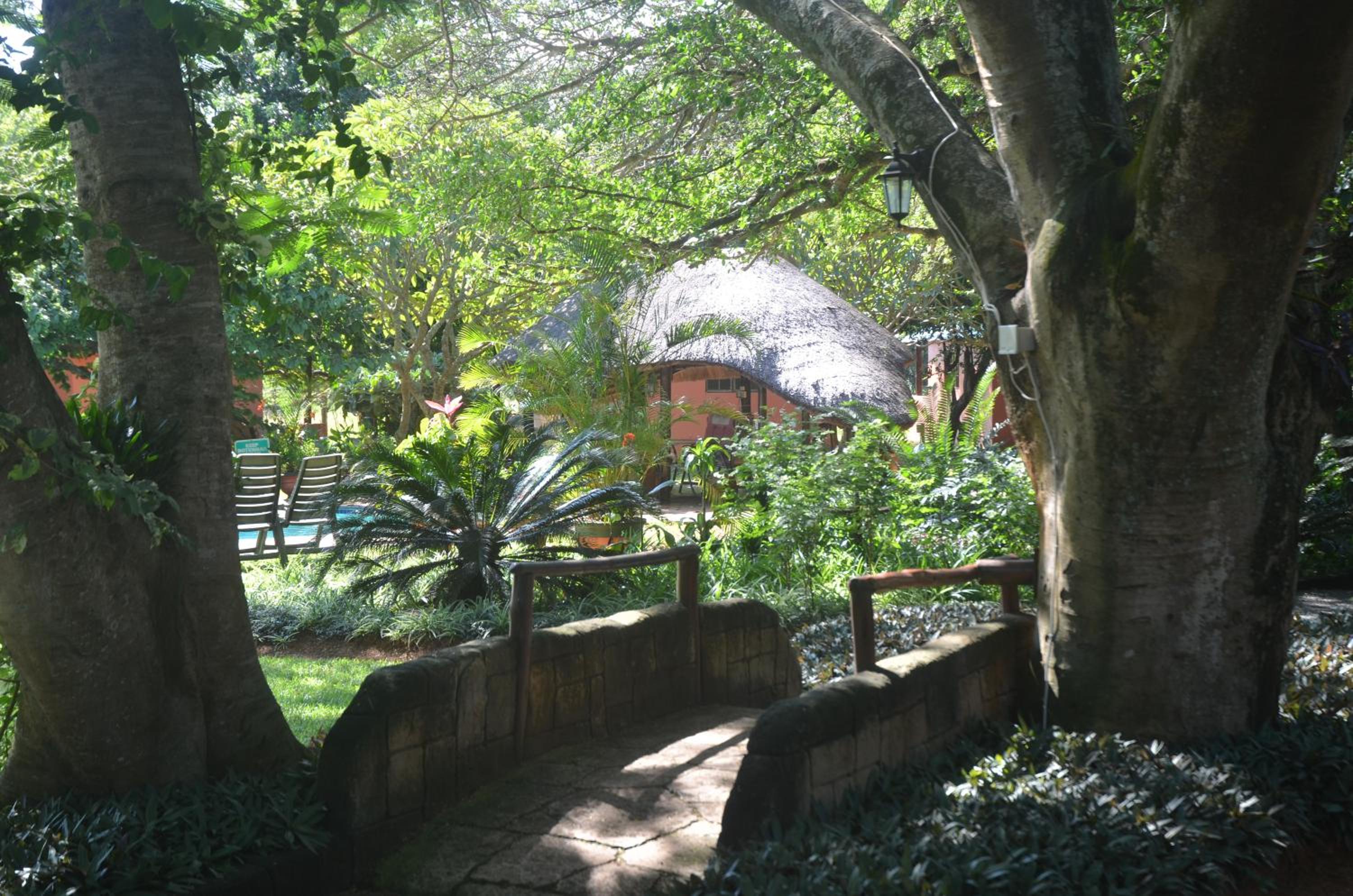 Hluhluwe Vacations - Bushbaby Lodge  Camping - Property Image 11