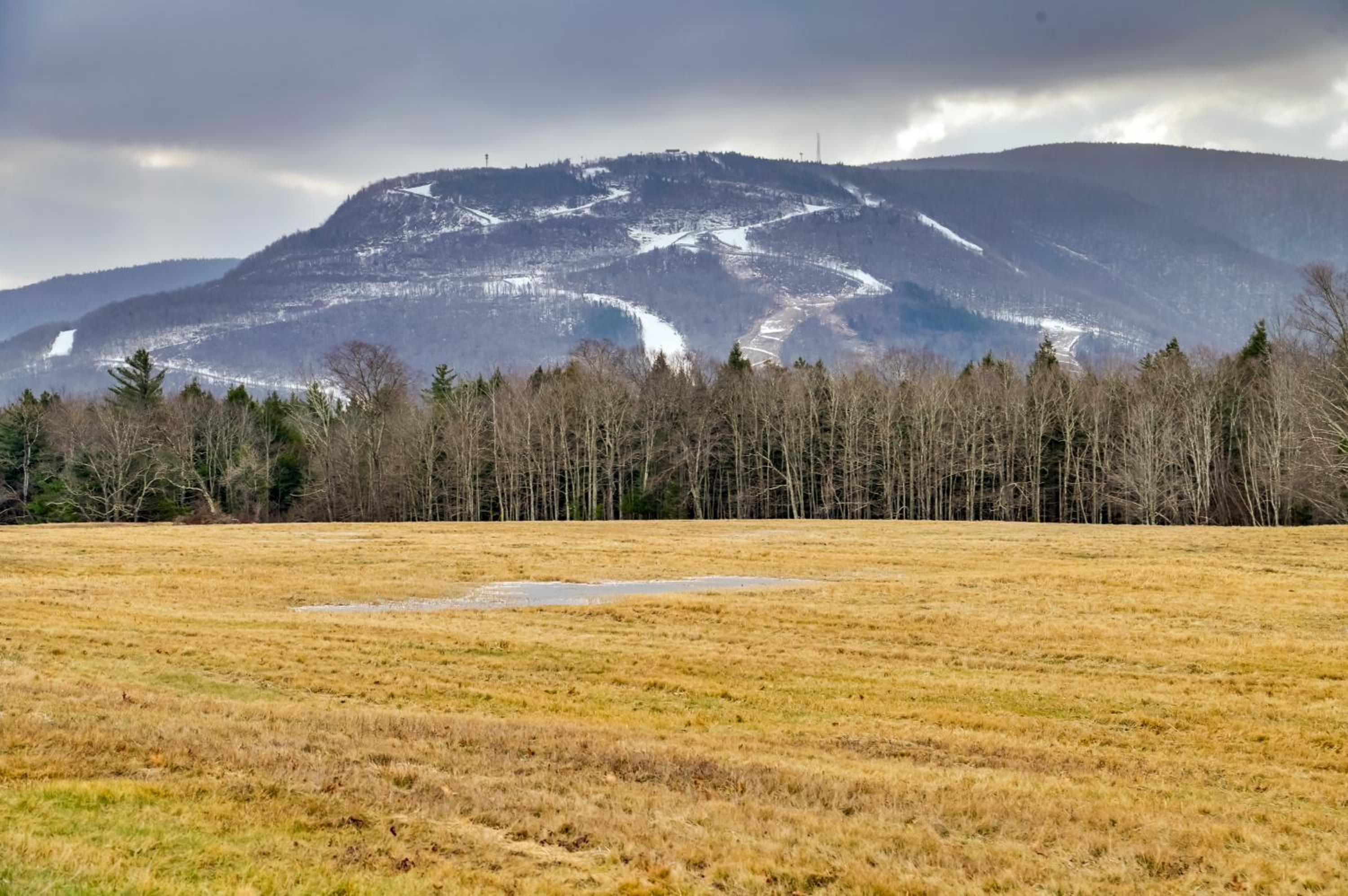 Less Than 1 Mi to Hunter Mtn Skiing Family-Friendly Stay!