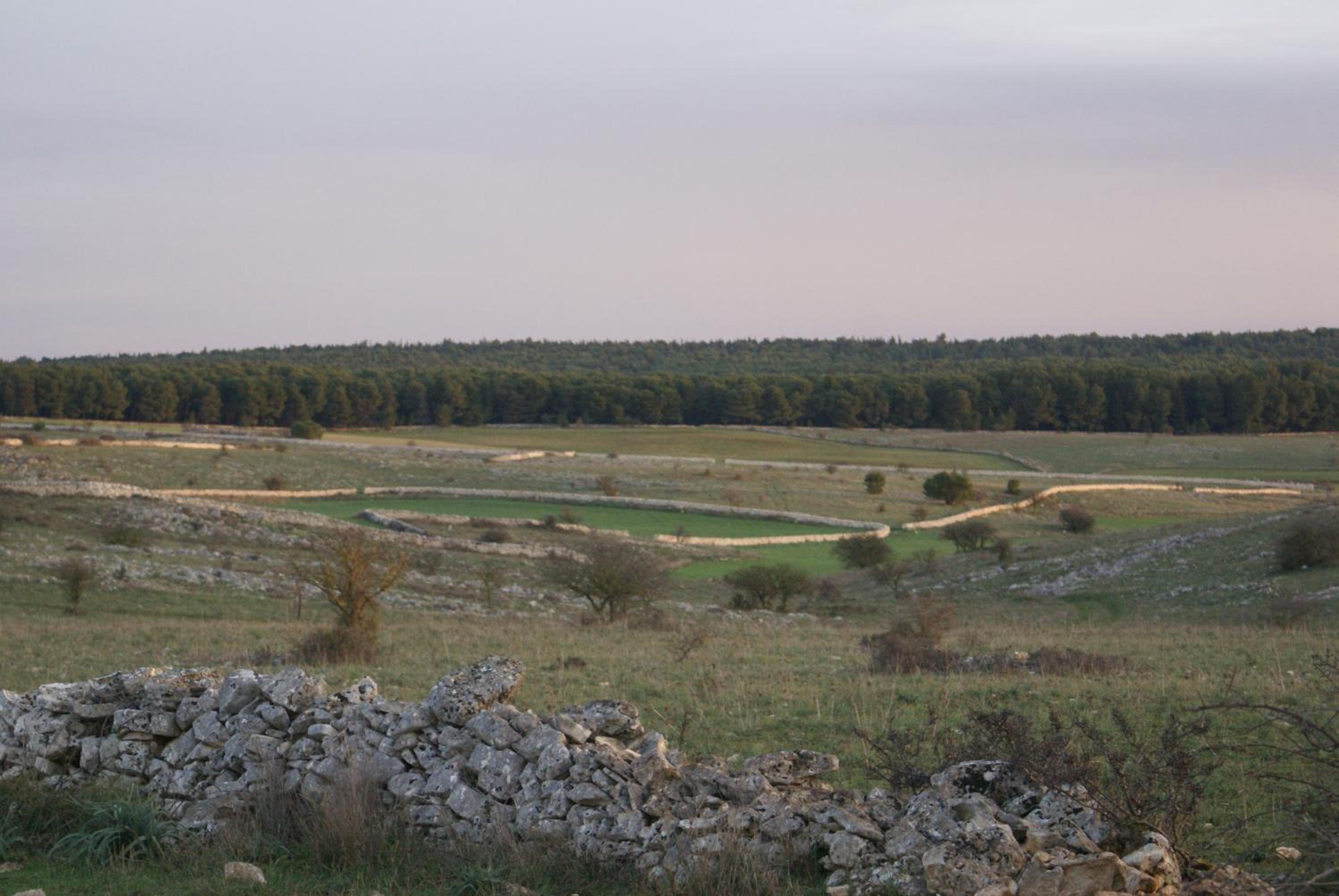 Agriturismo Murà