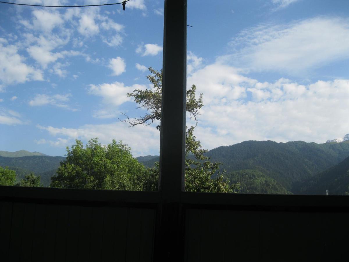 Photo 44
