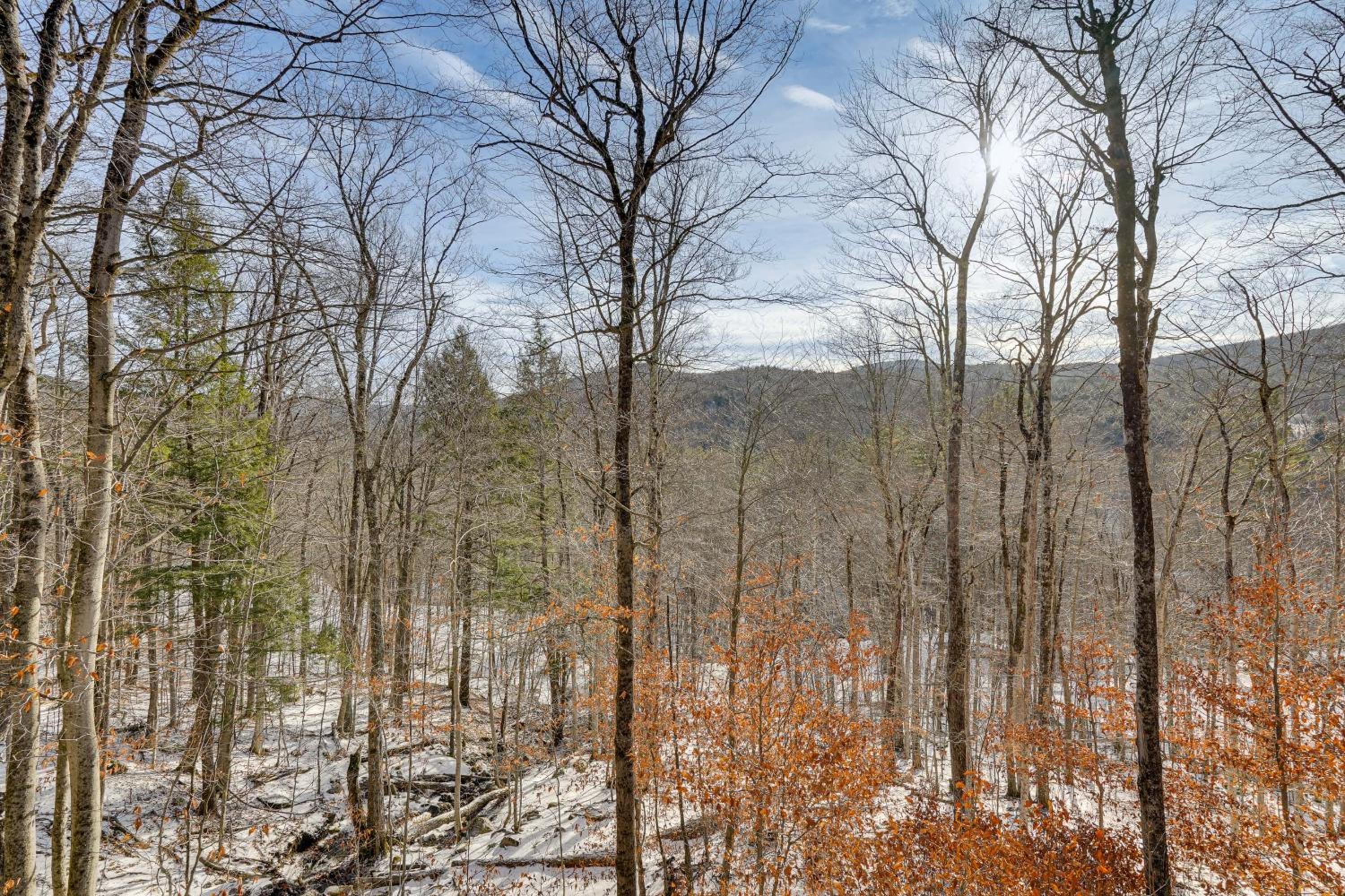 Near Okemo and Killington Home with Sauna and Fireplace