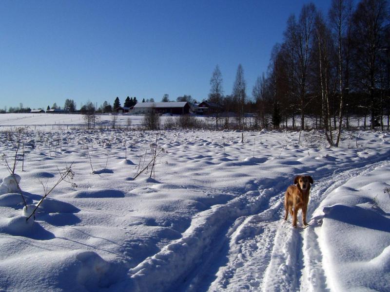 Photo 20