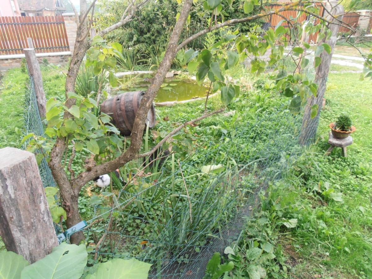 Photo 31