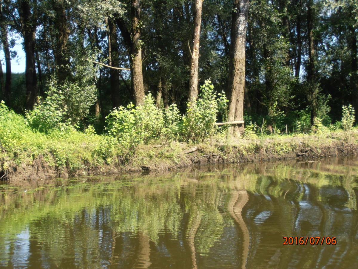 Photo 35