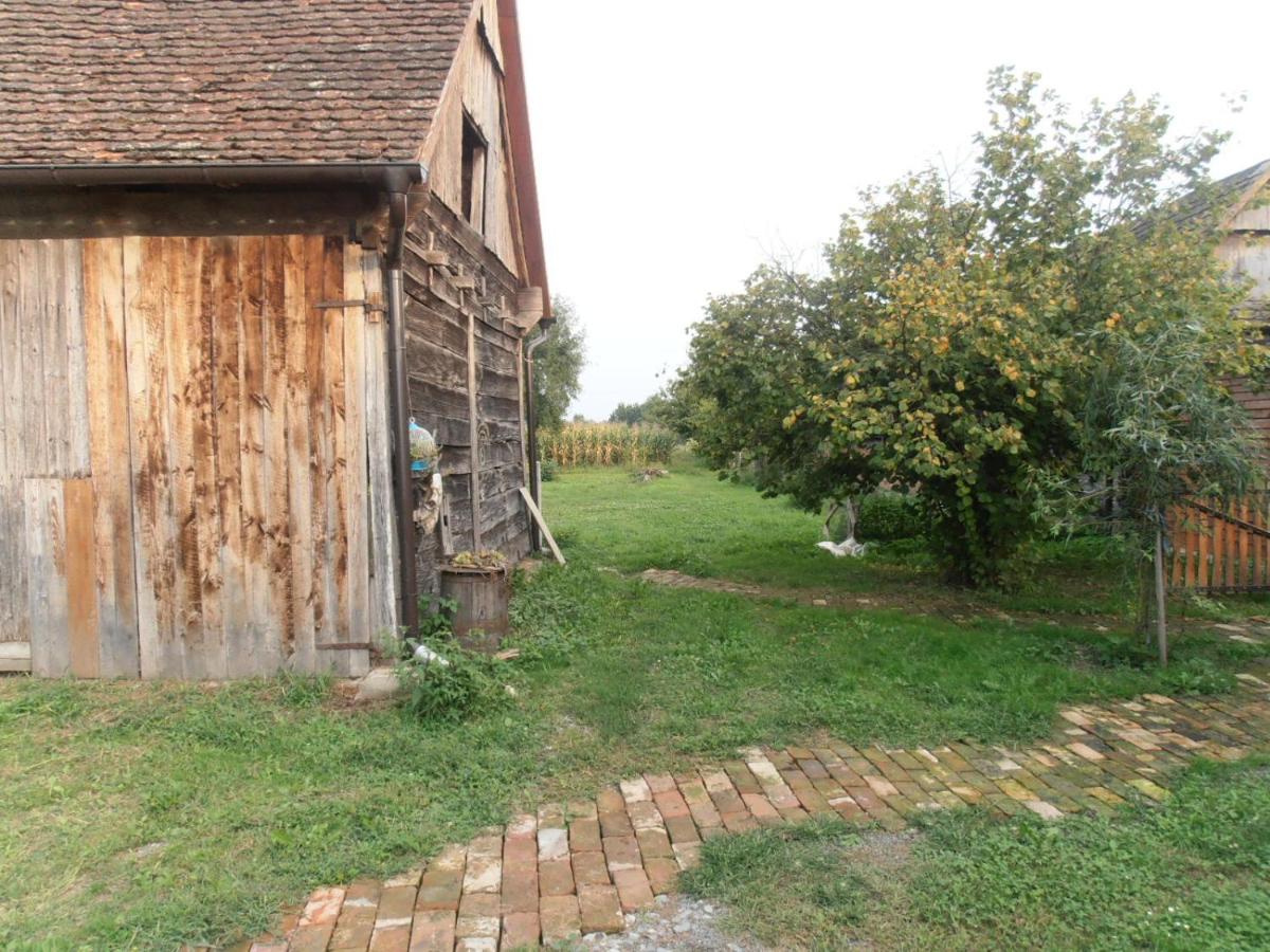 Photo 40