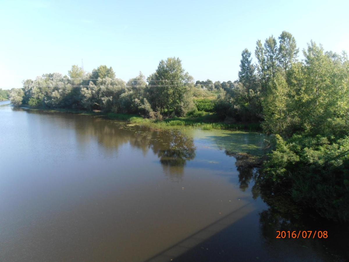 Photo 42