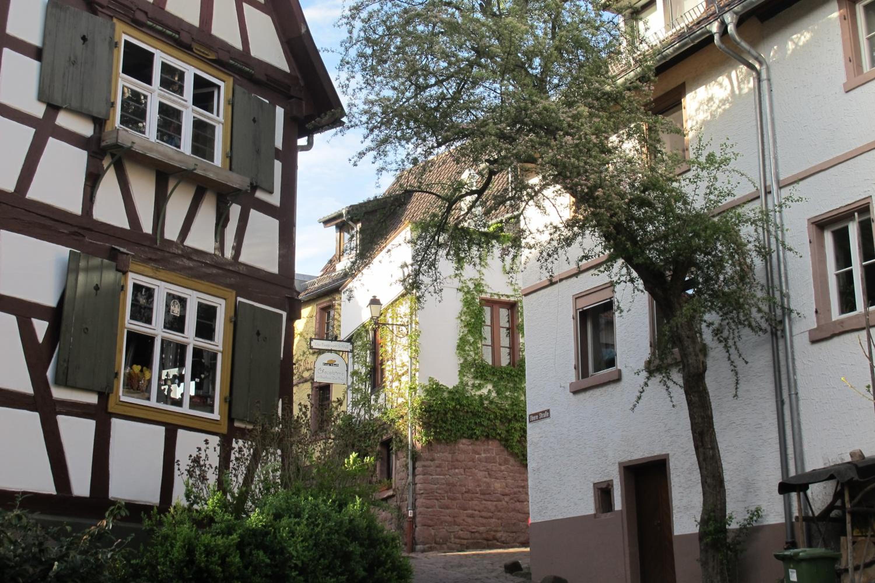 Historisches Ferienhaus Veste Dilsberg