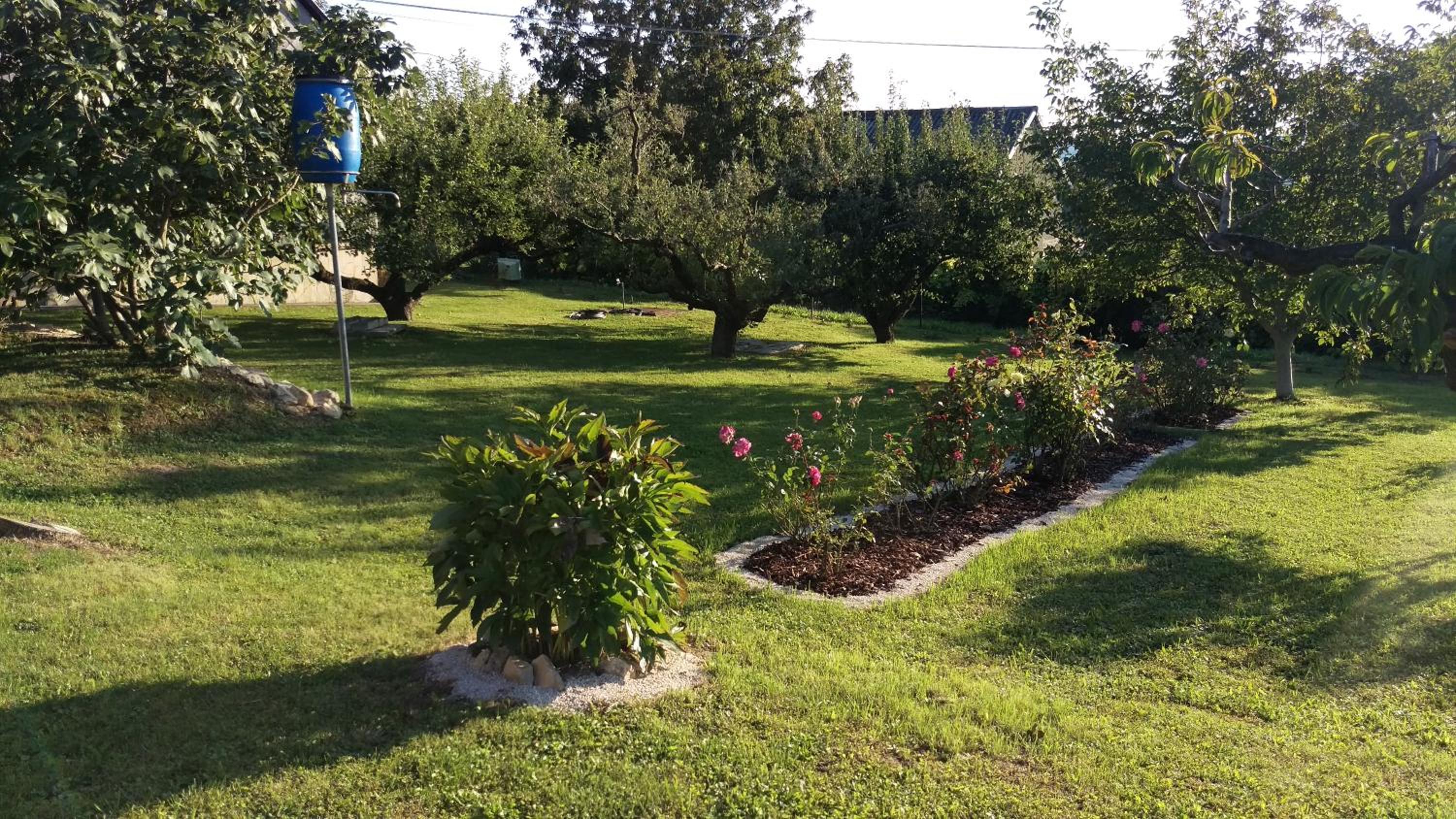 Photo 16