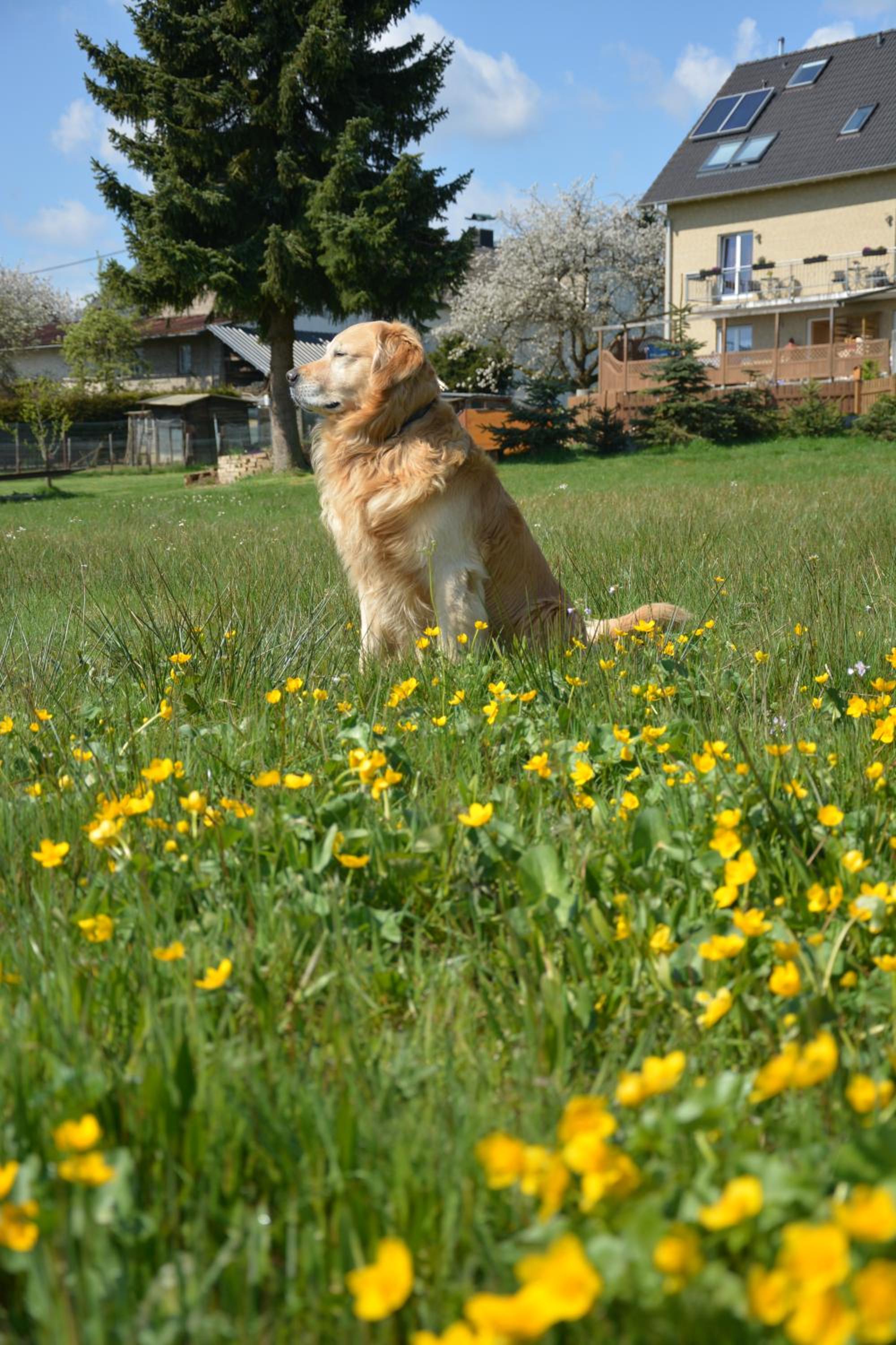 Photo 40