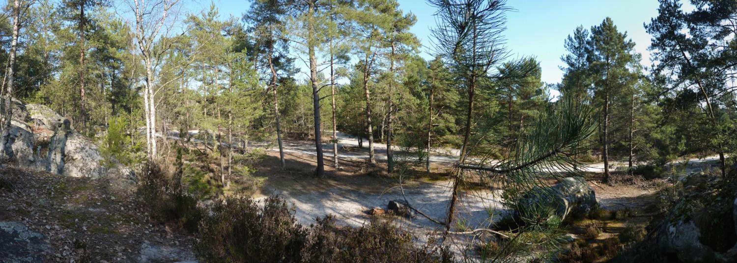 Fontainebleau Sweet Home