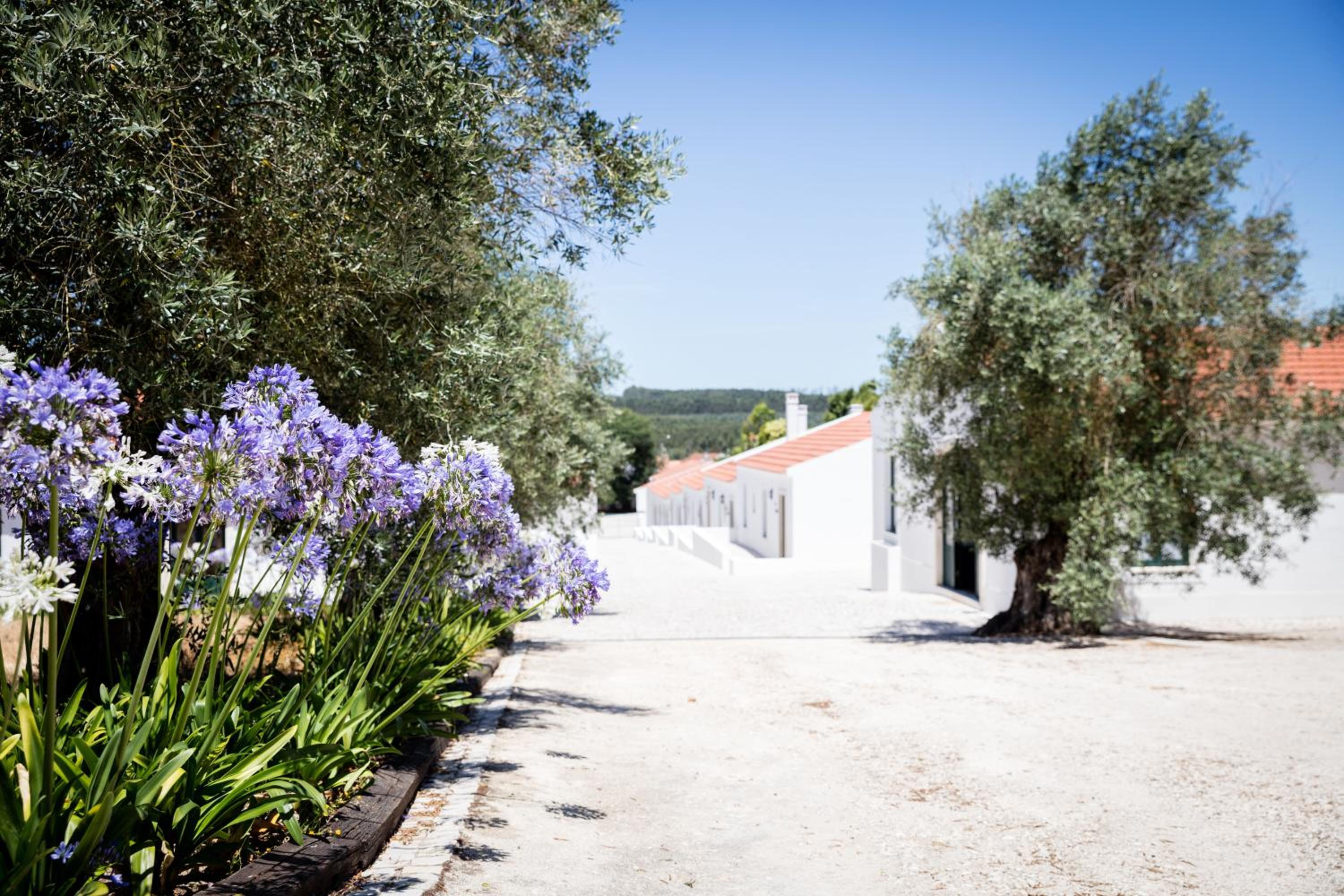 Casas de São José