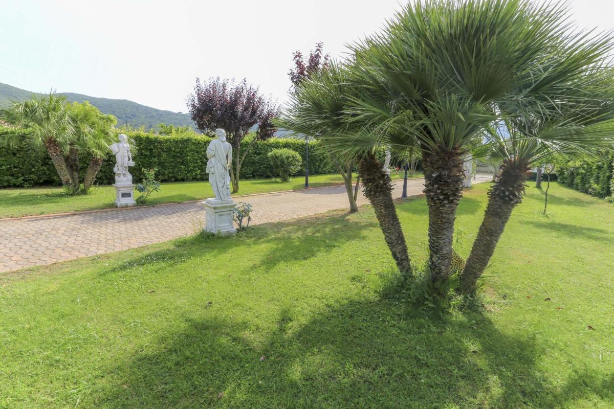 L'Albero del Pepe 1 - Goelba photo 3
